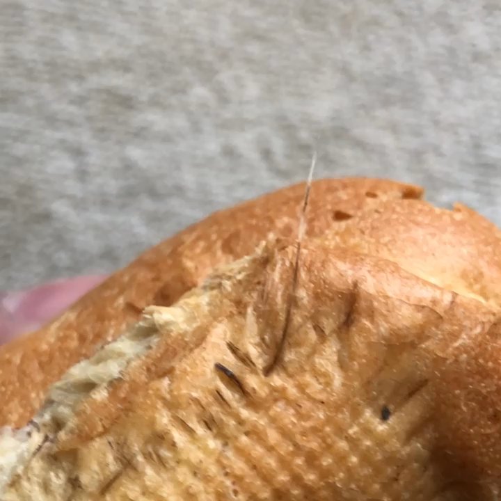 Lee's Sandwiches - A disgusting Animal hair found baked into my bread!!! - Vietnamese Near Me - Rosemead, California