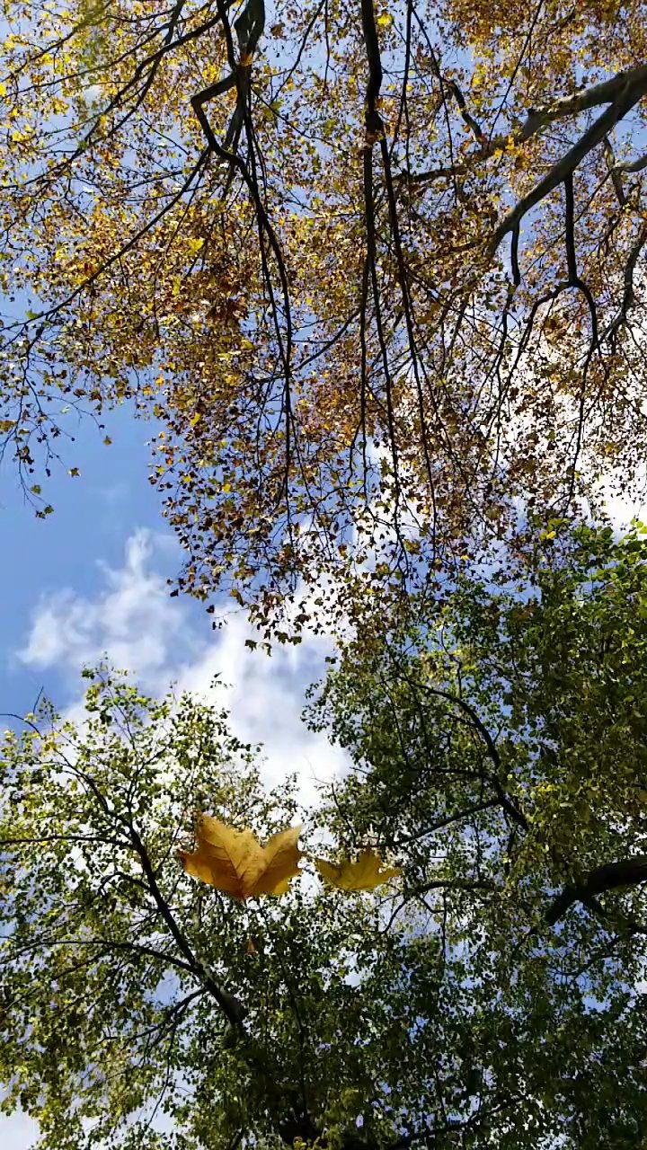 your daily calm
🎥 Yu Fromont · Pexels
#nature #naturelovers #earth #relax #scenery