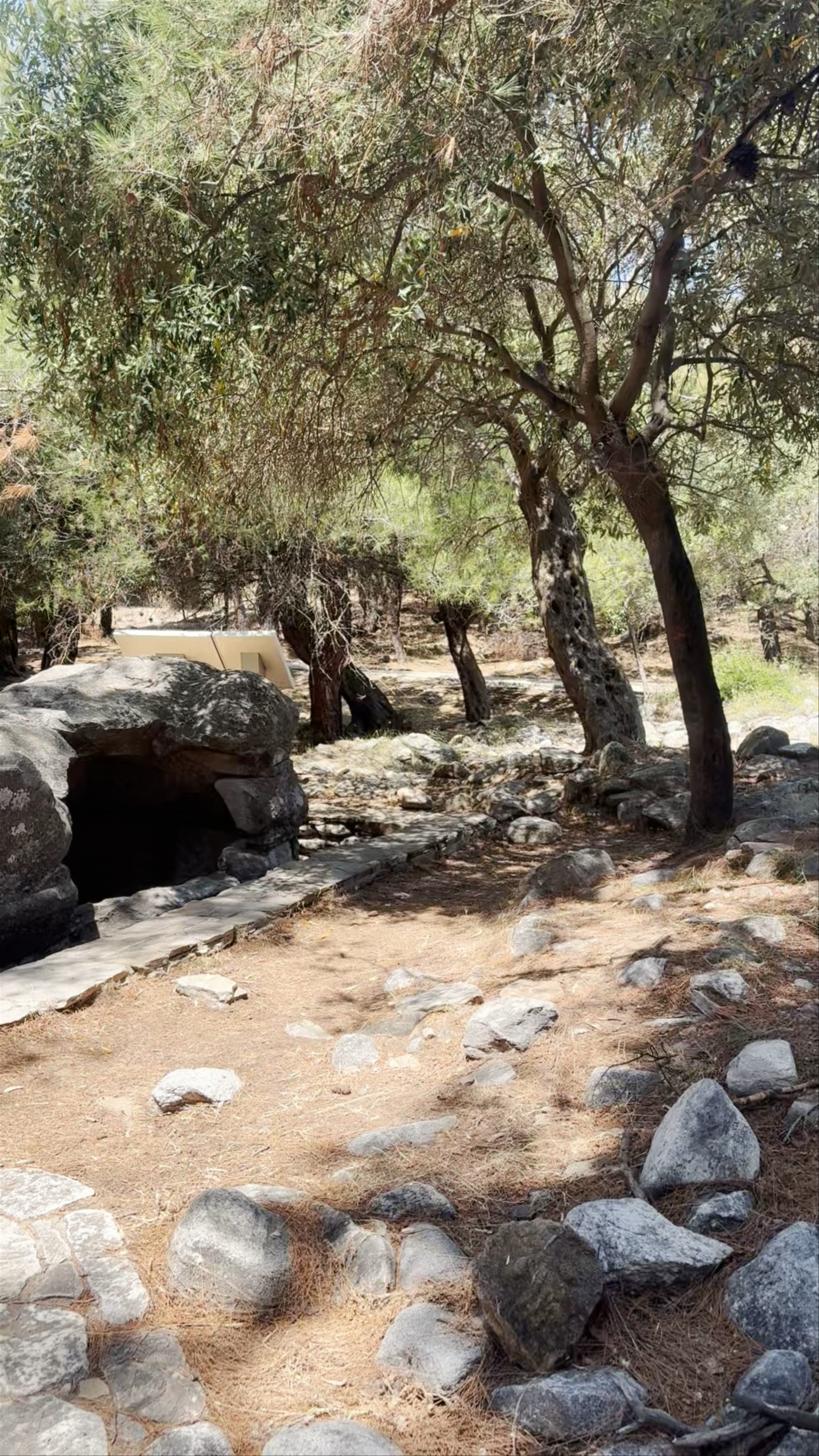Aliki Archaeological Site