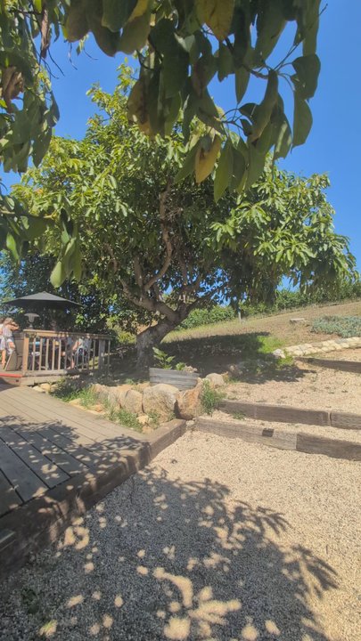 Fallbrook Winery - Wine Tasting Room Near Me - Fallbrook, California