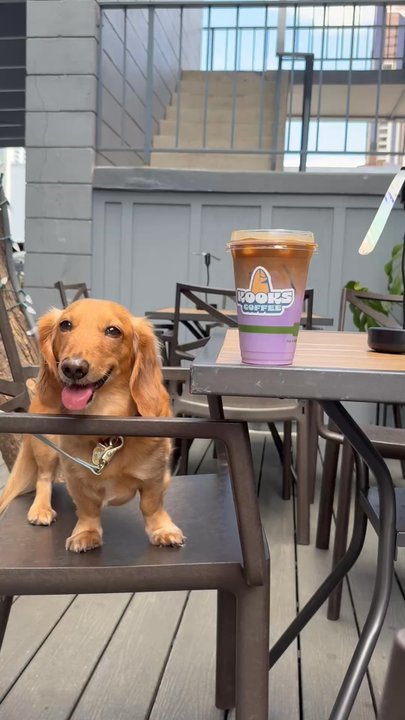 Kooks Coffee - Coffee & Tea Near Me - Honolulu, Hawaii