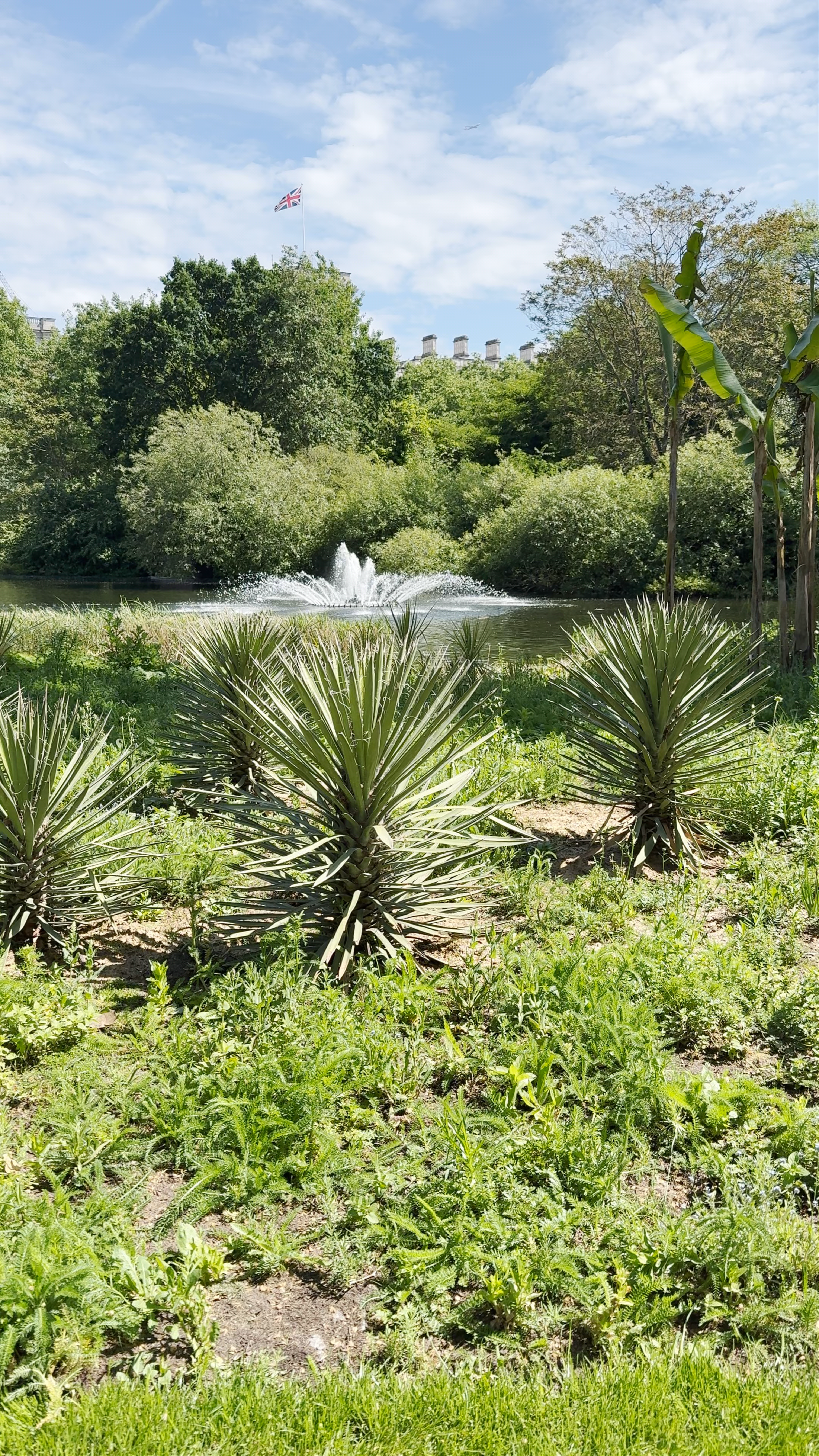 The Diana Princess Of Wales Memorial Walk - A Lush Urban Oasis in London