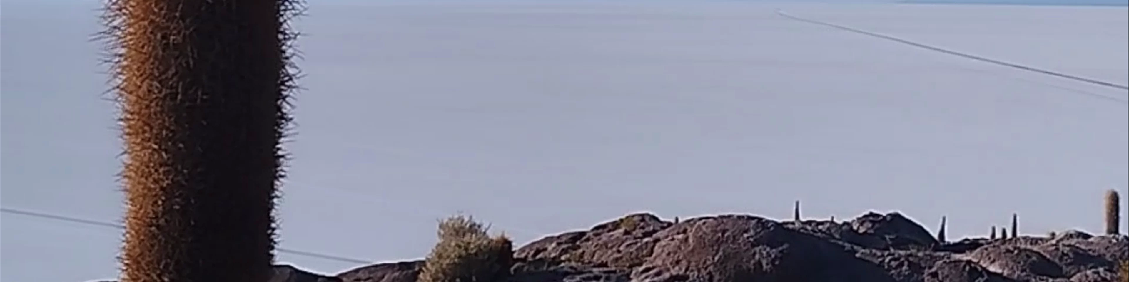 Isla Incahuasi