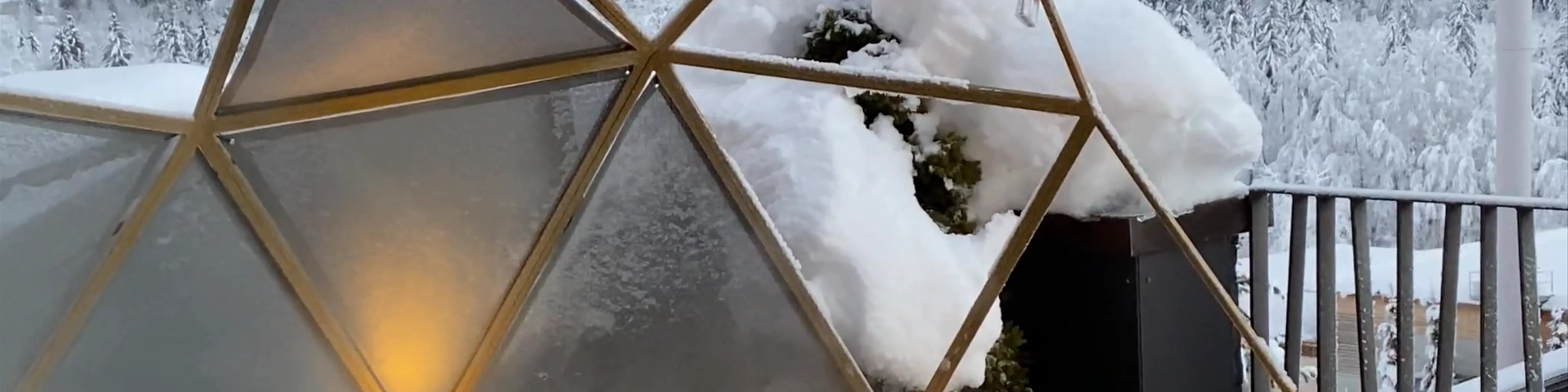 Boutique Hotel Glacier