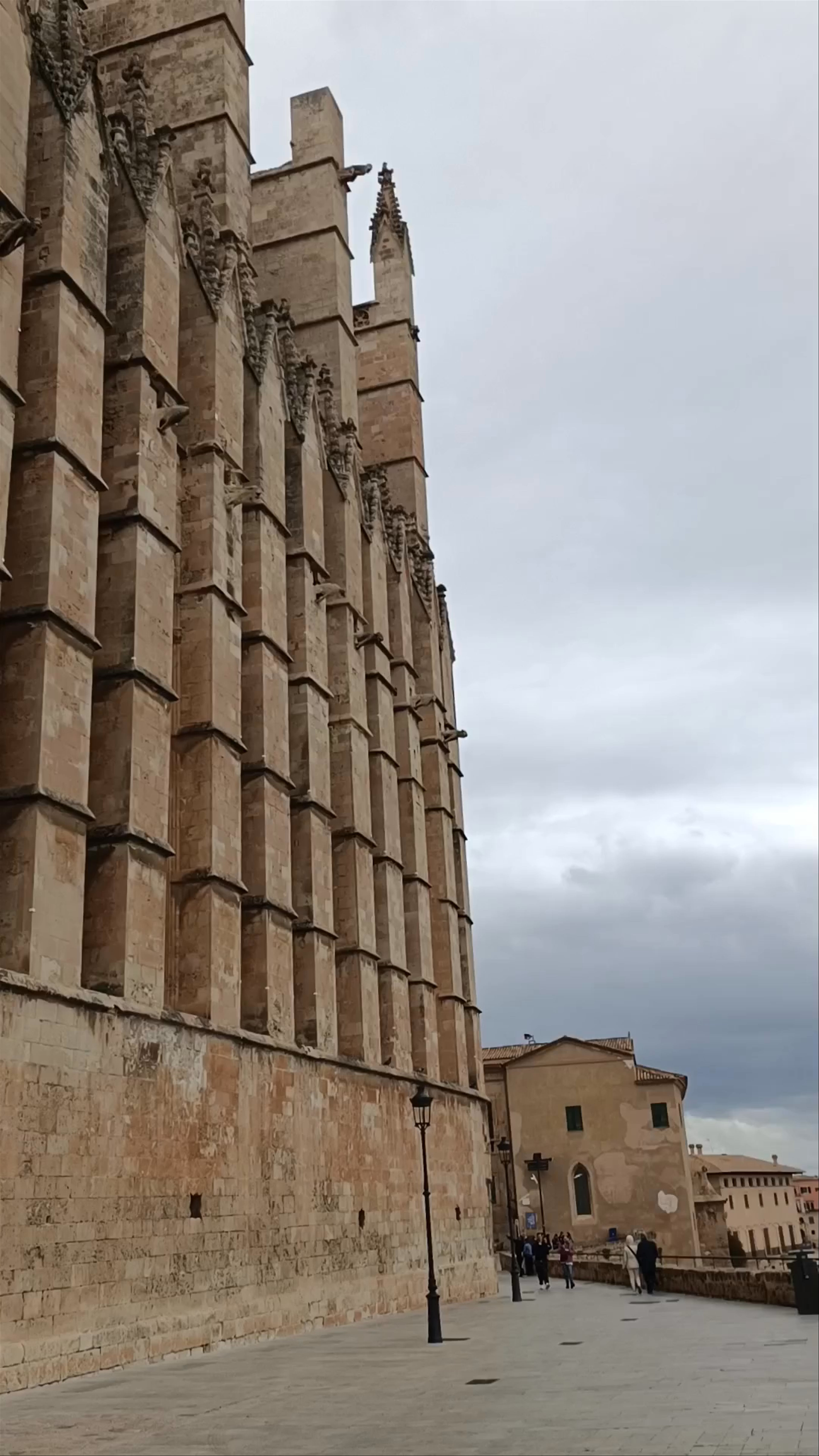 La Seu