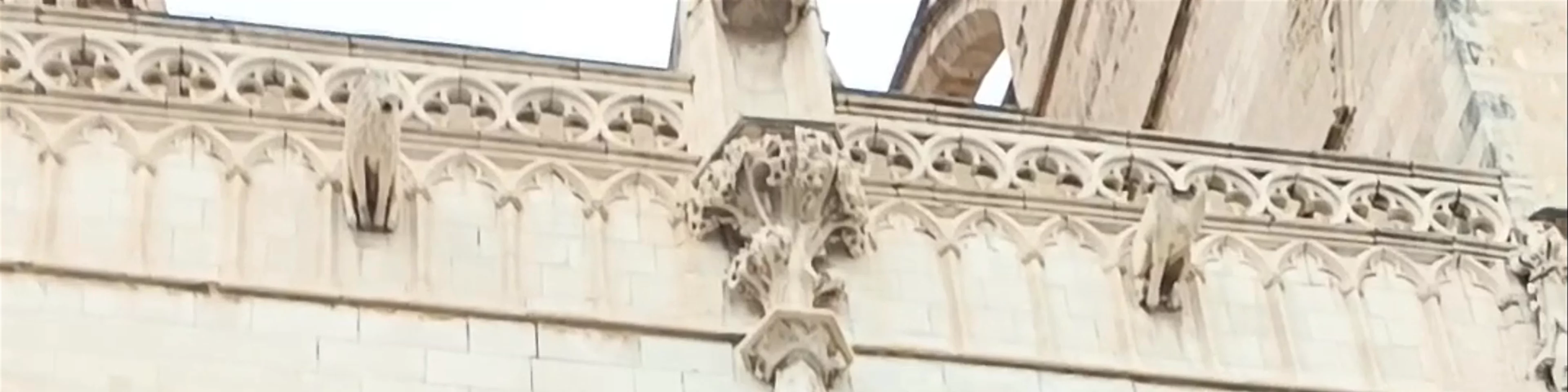 La Seu
