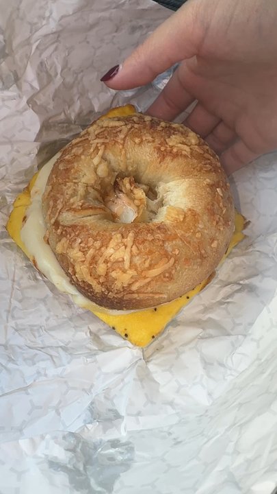 The Lab Coffee - Heights - Sausage egg and cheese Asiago bagel - Coffee & Tea Near Me - Tampa, Florida