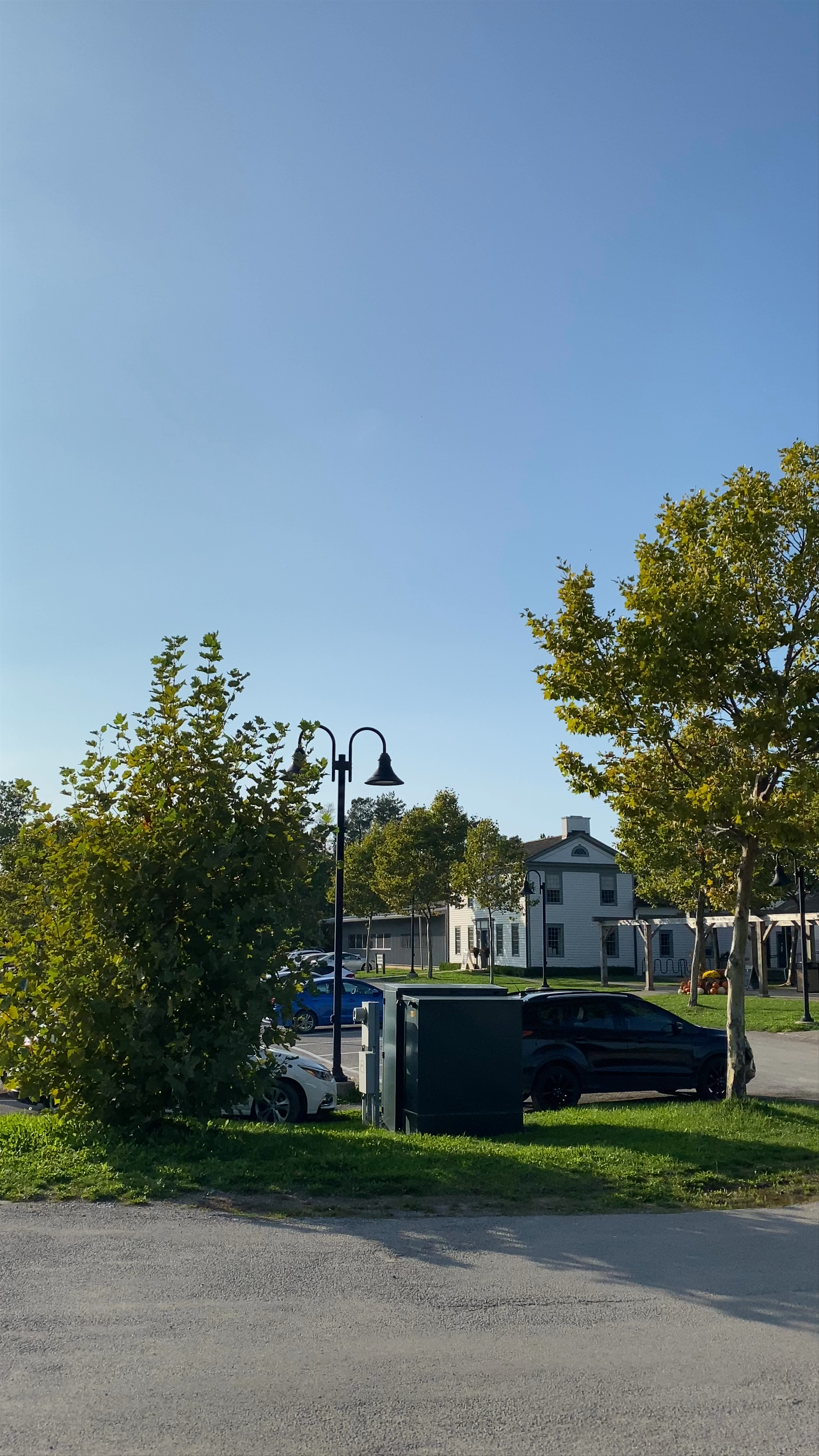 Ravine Vineyard Estate Winery: Quintessential Ontario Vineyard Experience