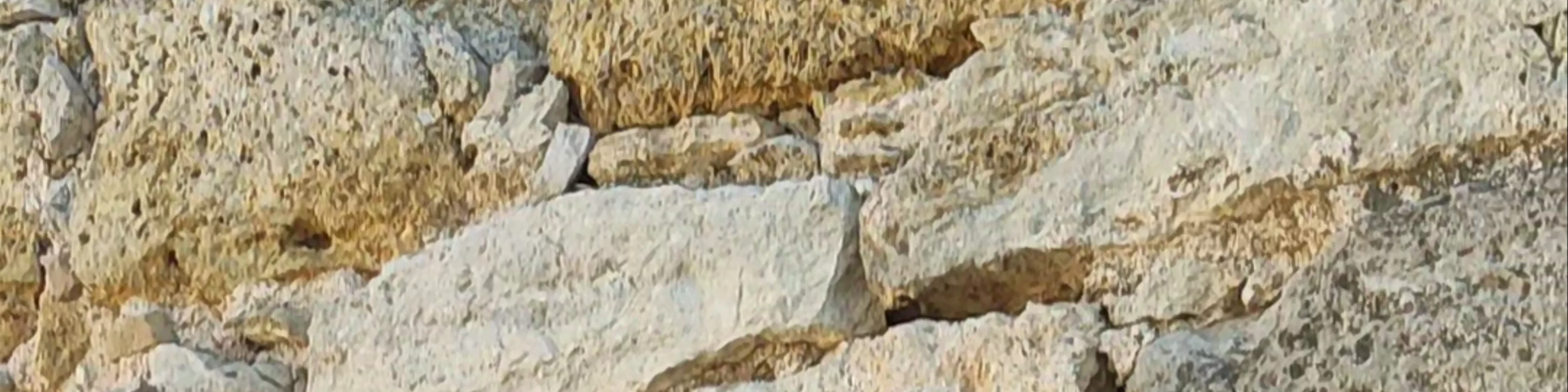 Fortaleza de Requena