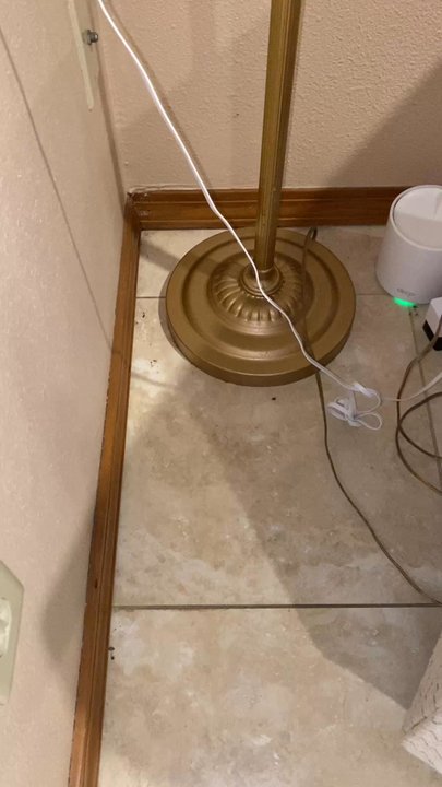 The Fuller Cleaning - Lots of dead bugs, dust, and webs left behind. - Home Cleaning Near Me