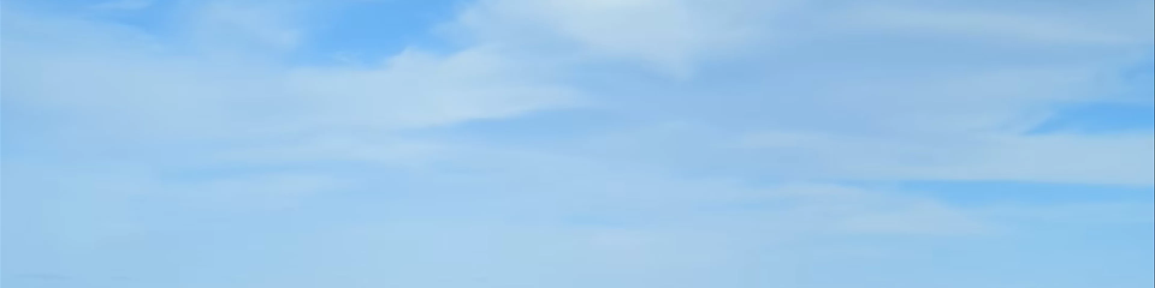 Sea Cliff Bridge View Point