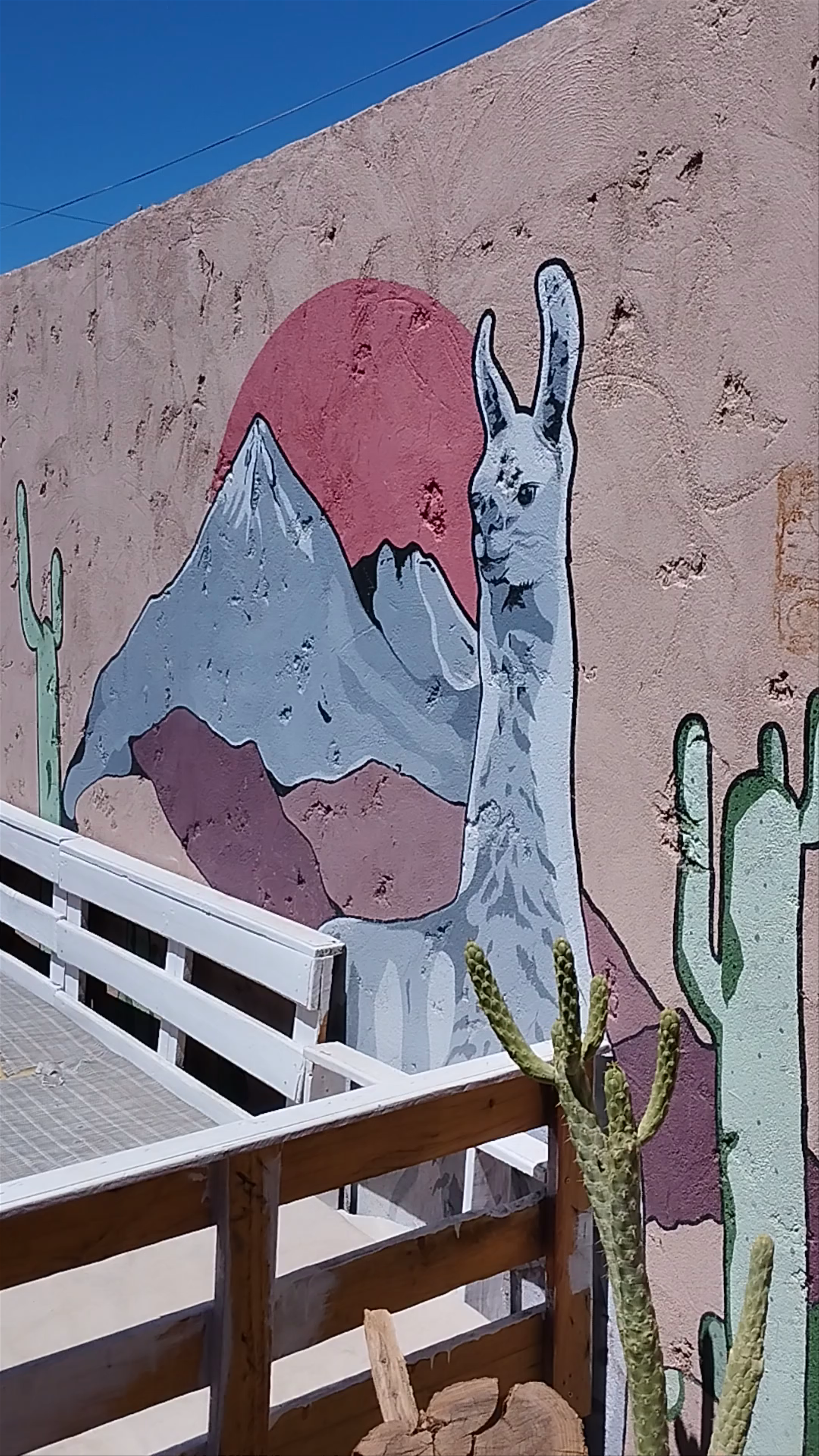 Las Casas Hostel Atacama: Cozy Desert Vibes in San Pedro de Atacama