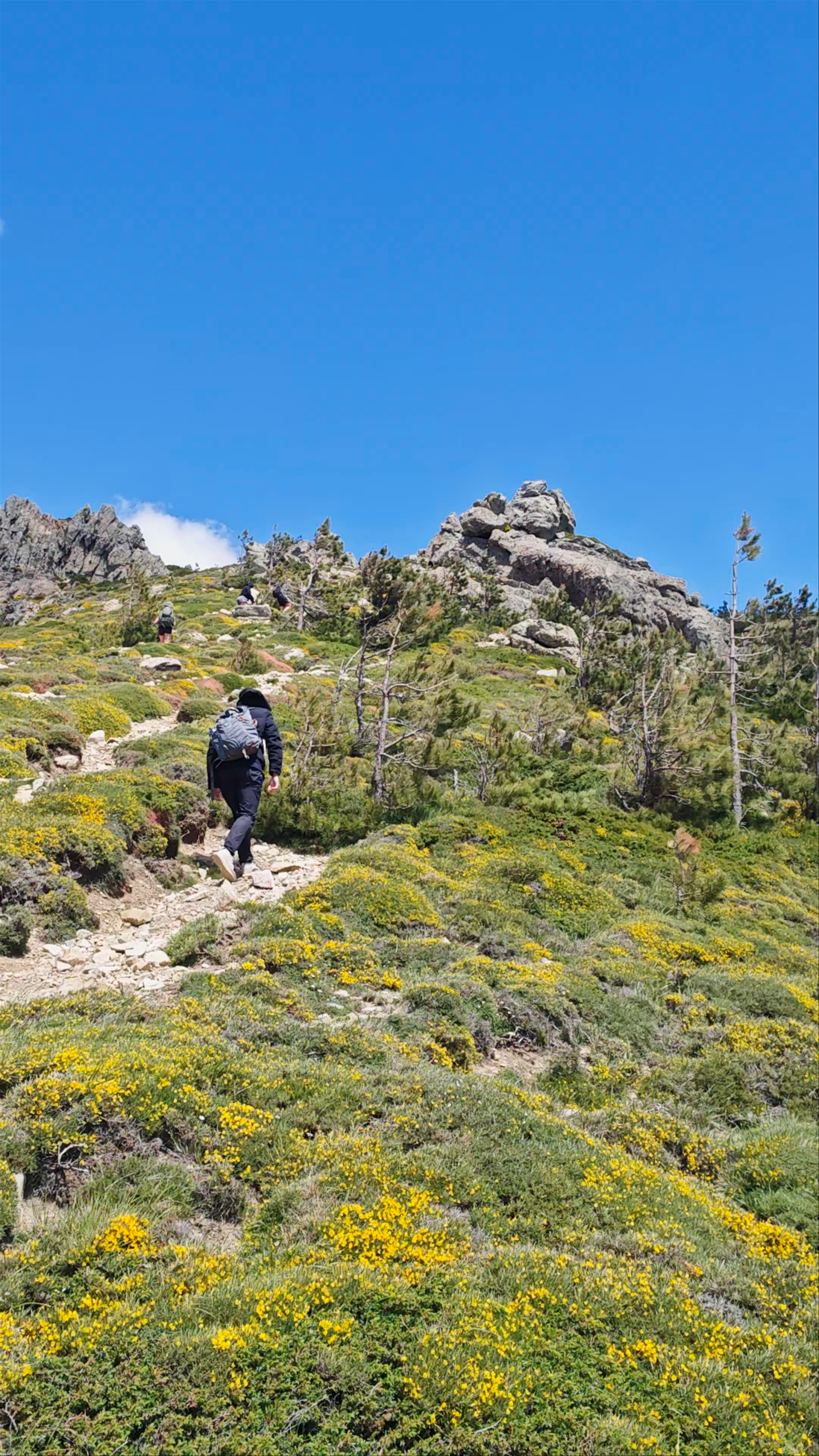 Aiguilles de Bavella - Forchi di Bavedda