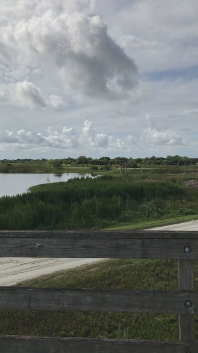 Viera Wetlands - a view from one of the stands overlooking the grounds - Lakes Near Me - Melbourne, Florida