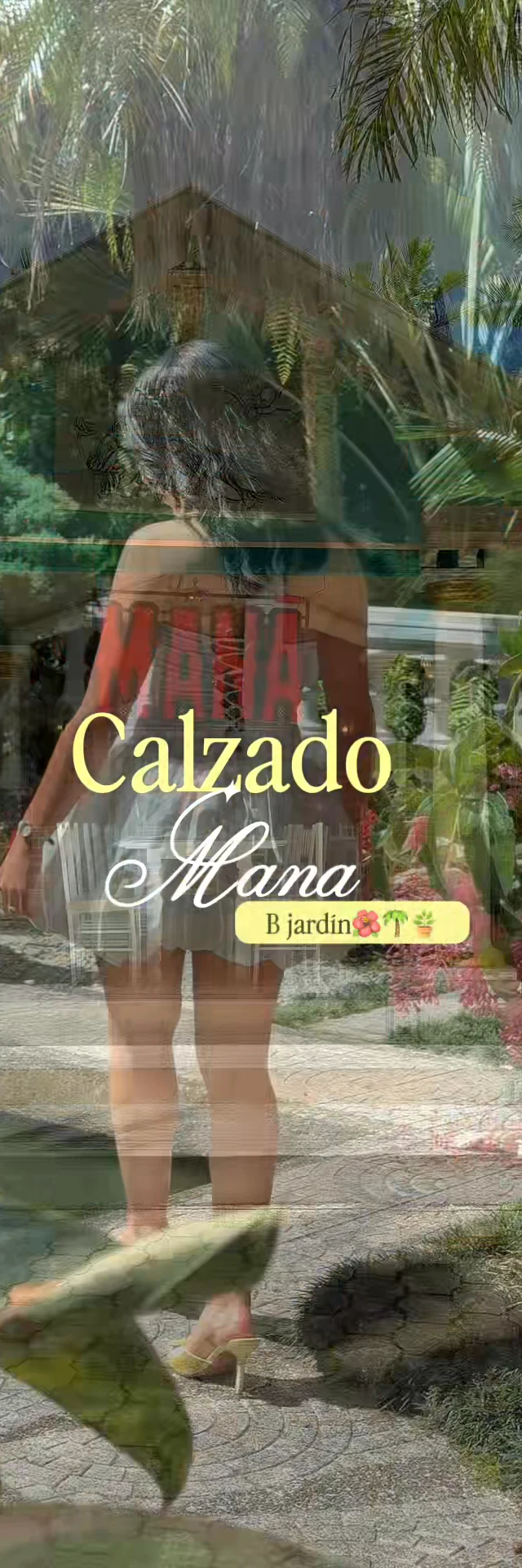 Contenido del creador