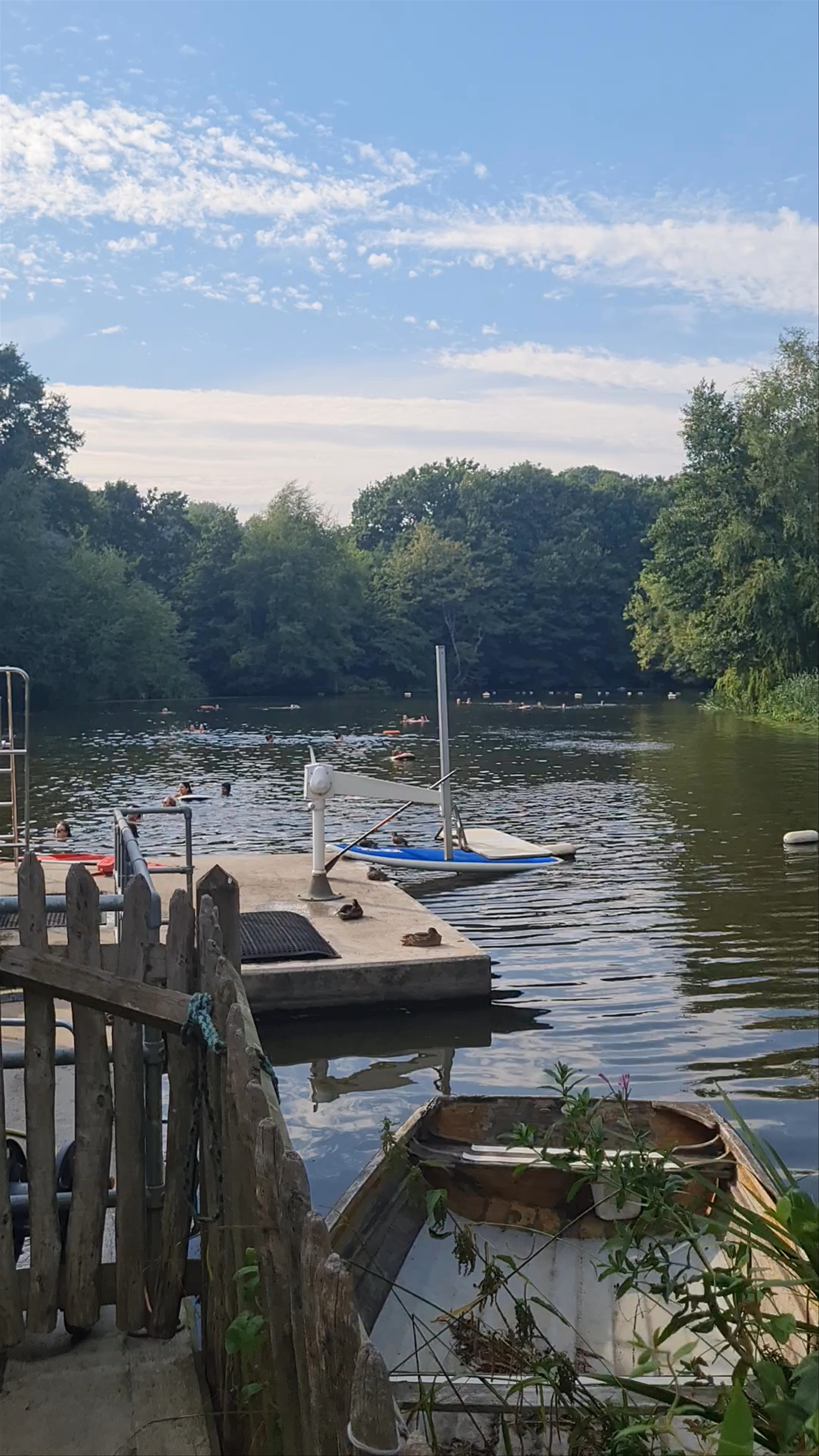 Kenwood Ladies' Bathing Pond: A Hidden Summer Oasis in London