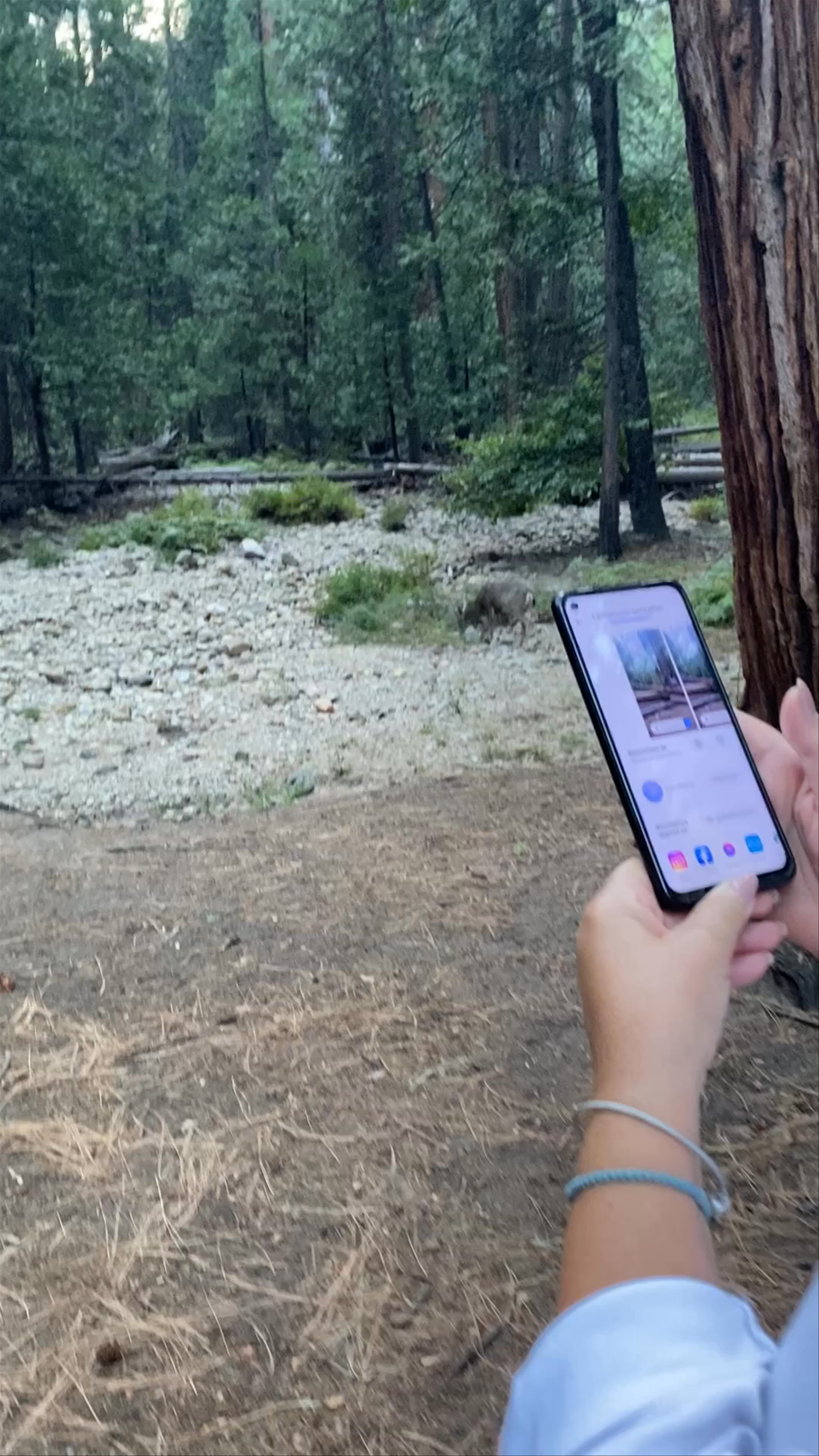 Mist Trail & John Muir Trail Trailhead