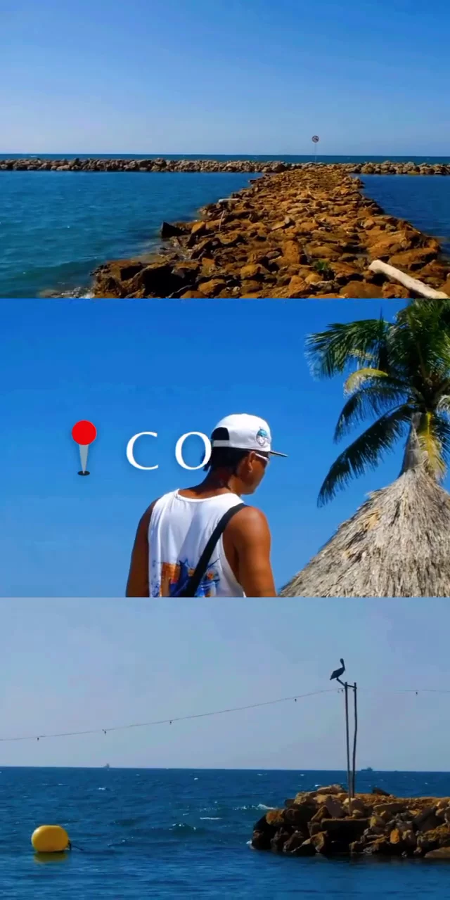Contenido del creador