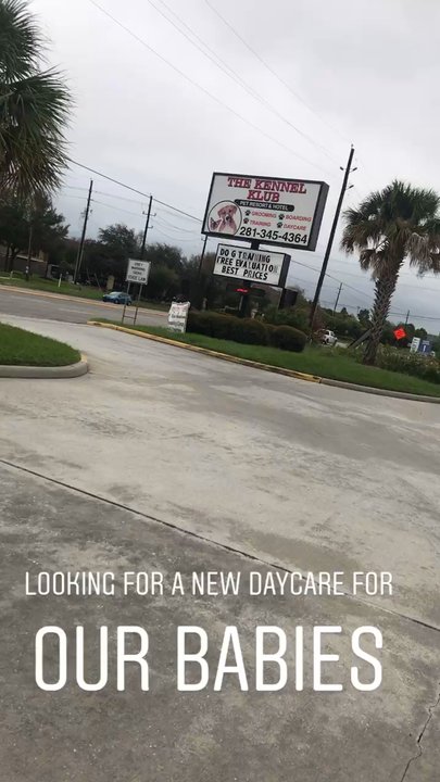 The Kennel Klub - Pet Training Near Me - Houston, Texas