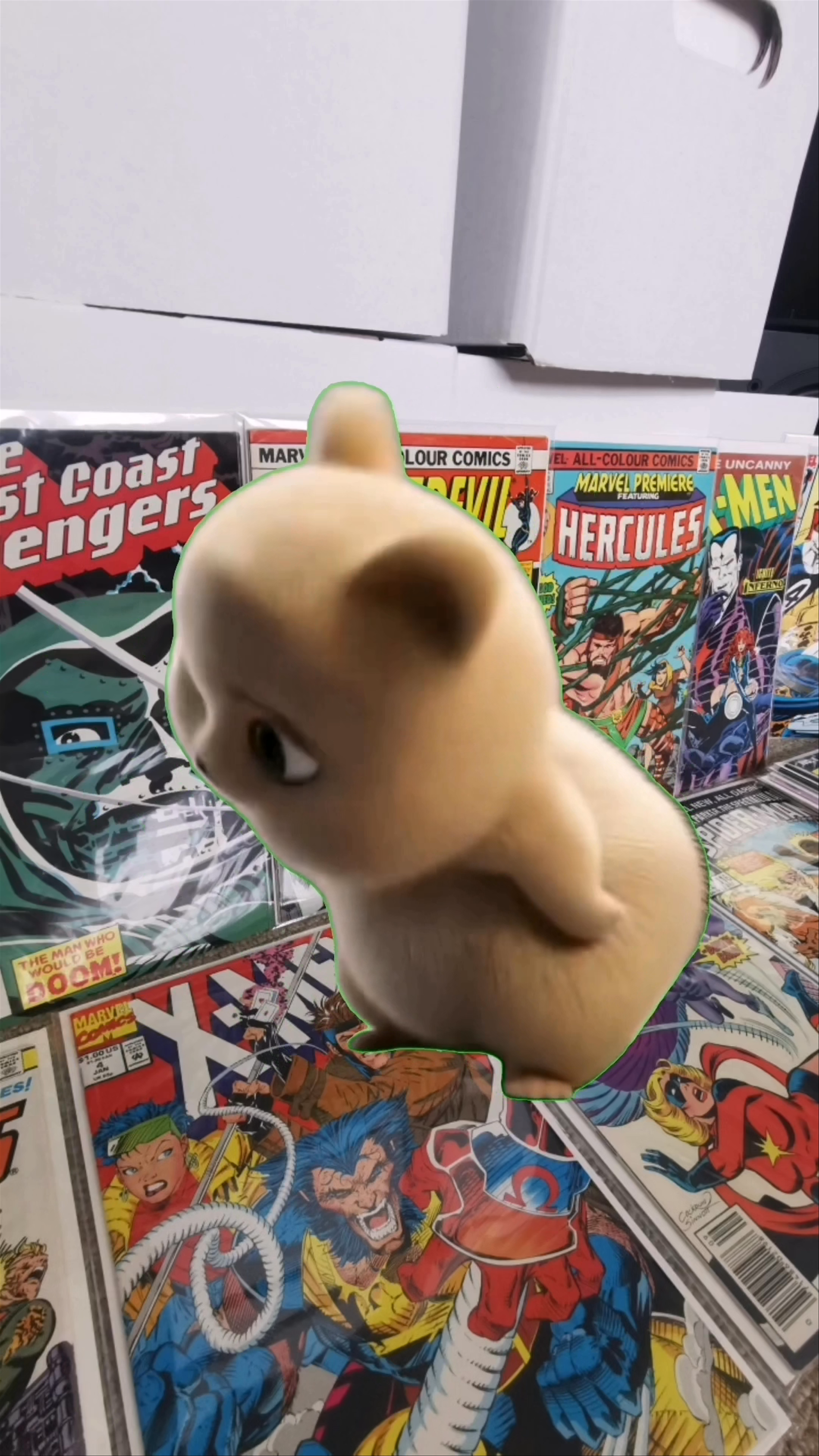 Miniature du live
