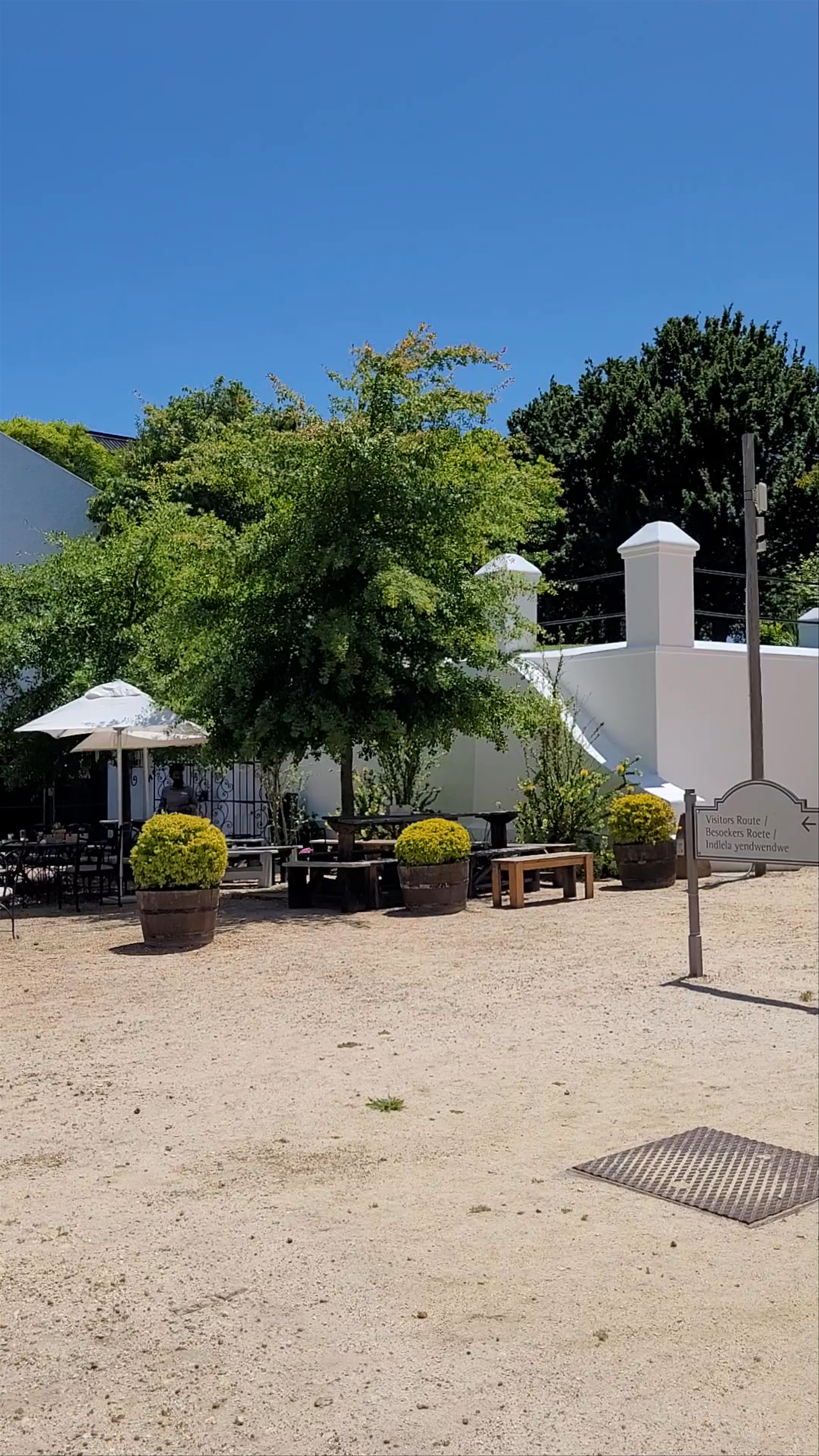 Sunny Day at Groot Constantia Estate, Cape Town