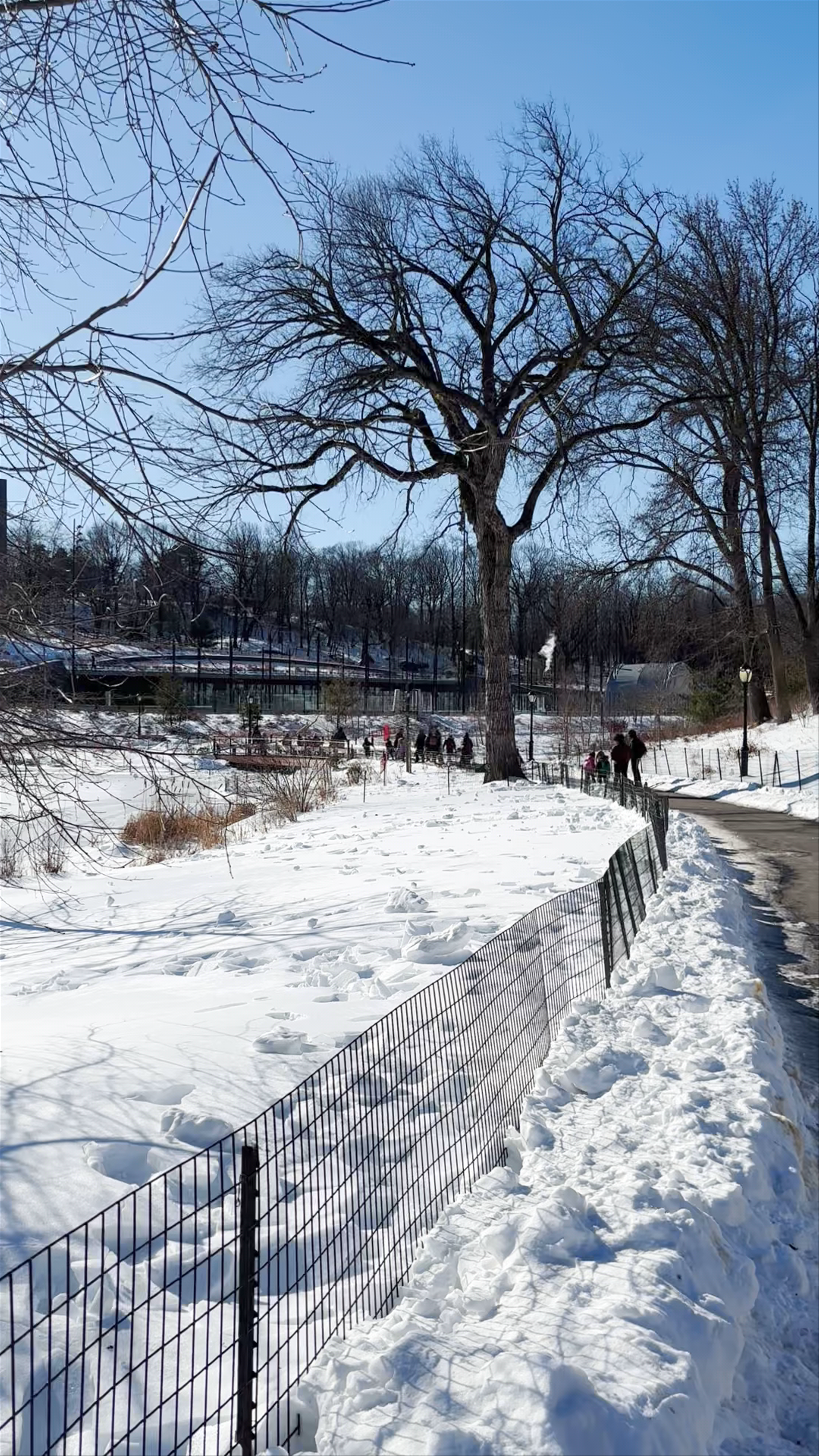 Harlem Meer
