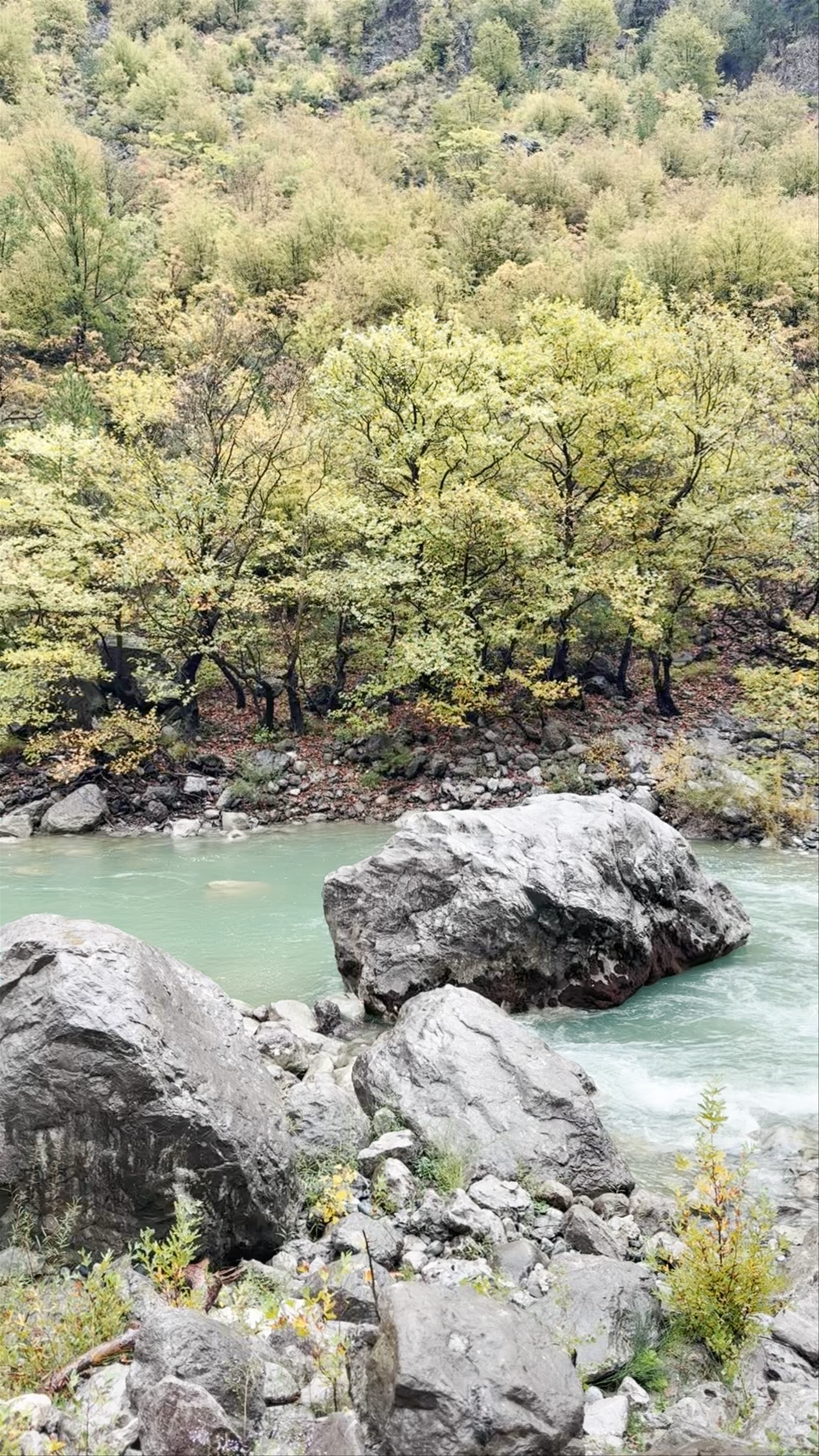 Γεφύρι Κόνιτσας