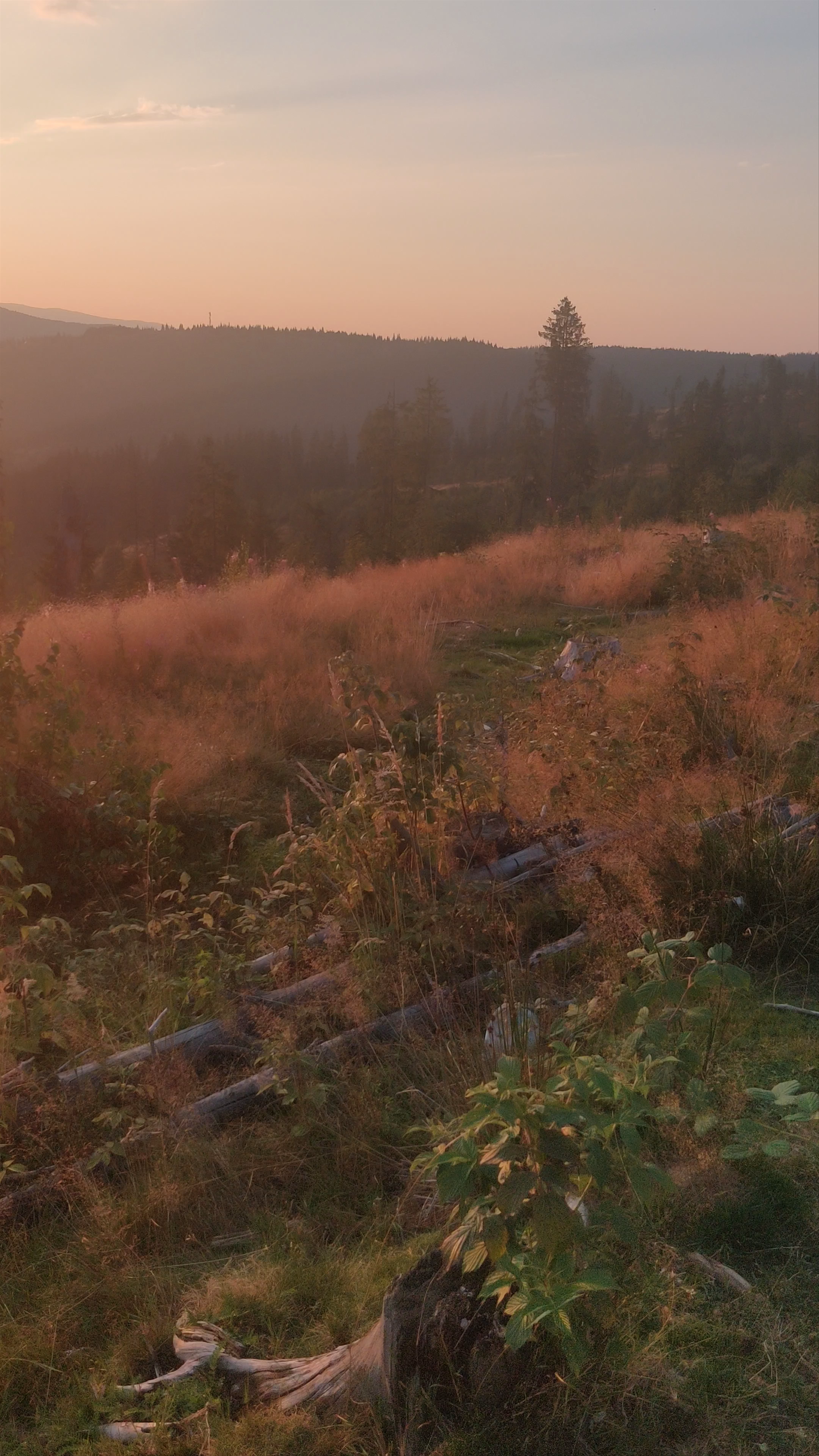 Lacul Beliș-Fântânele