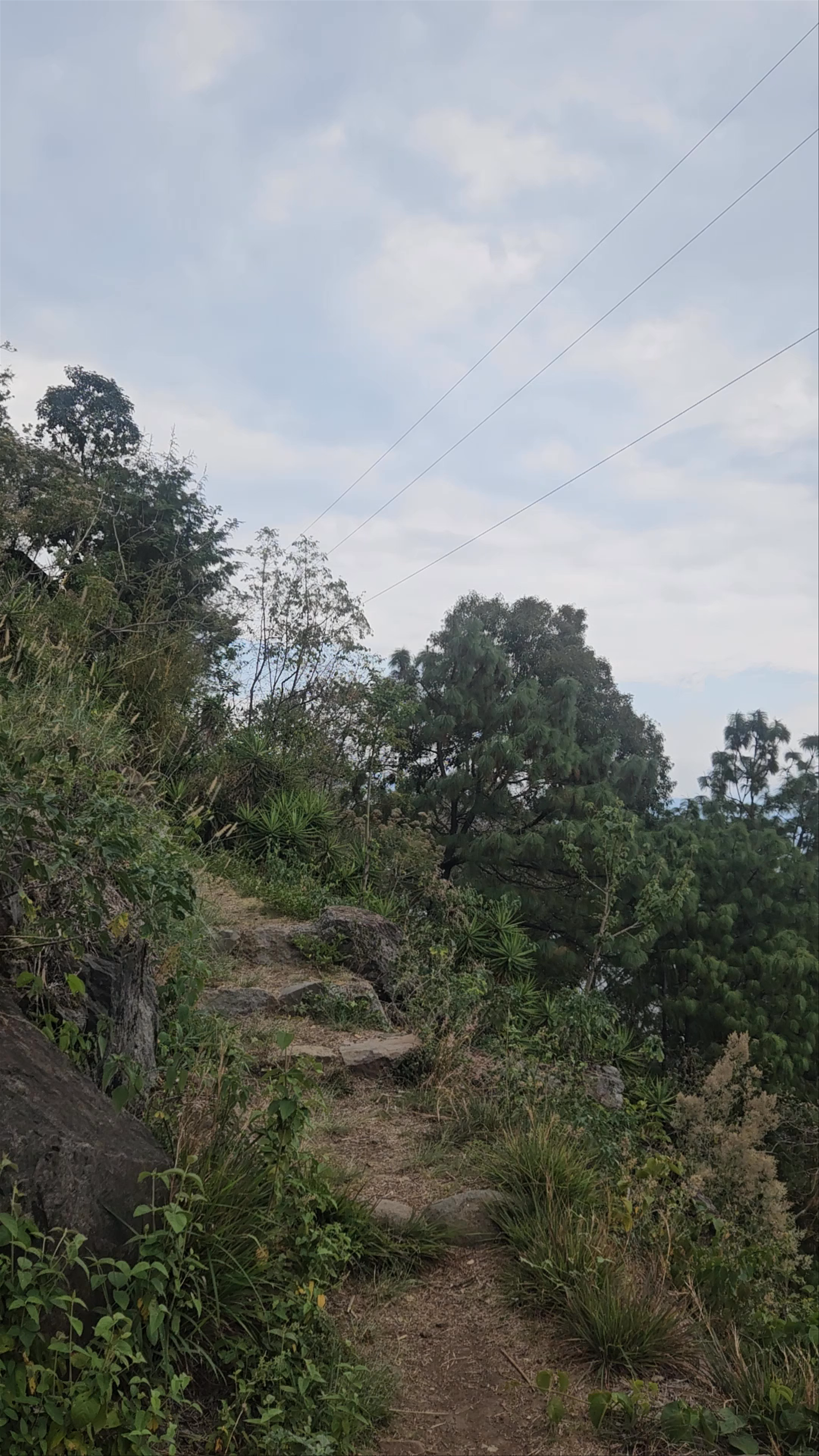 Mirador de la piedra