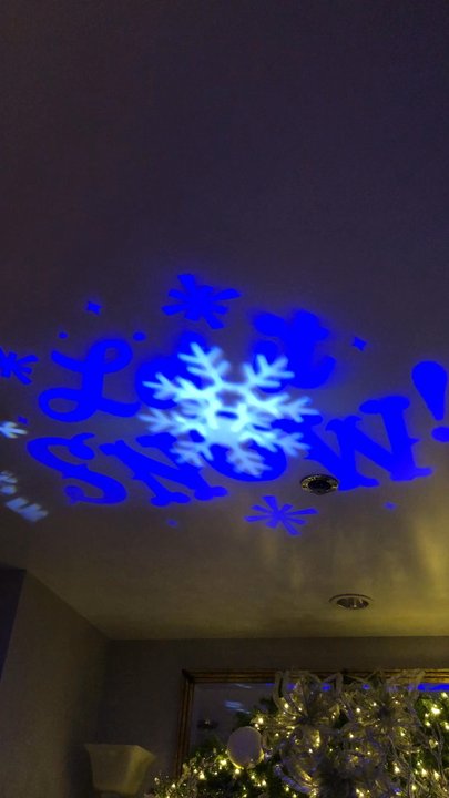 Teddy Bear Suite - 12/07/19 - Festivals Near Me - Seattle, Washington