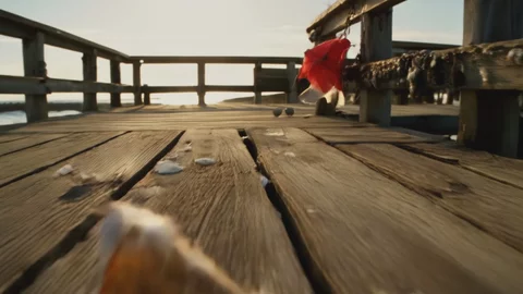 Golden Hour Desert Drive