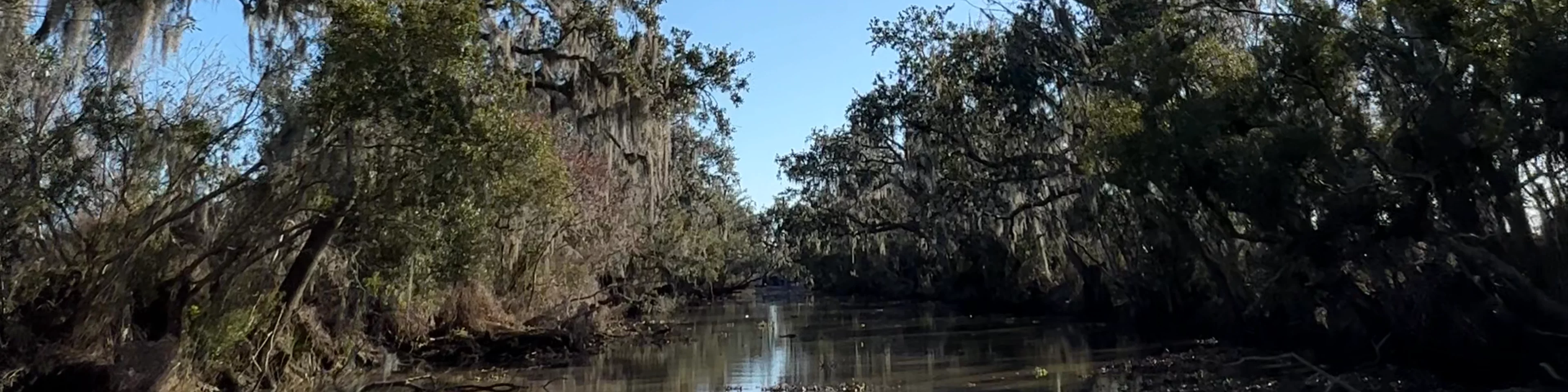 Airboat Adventures