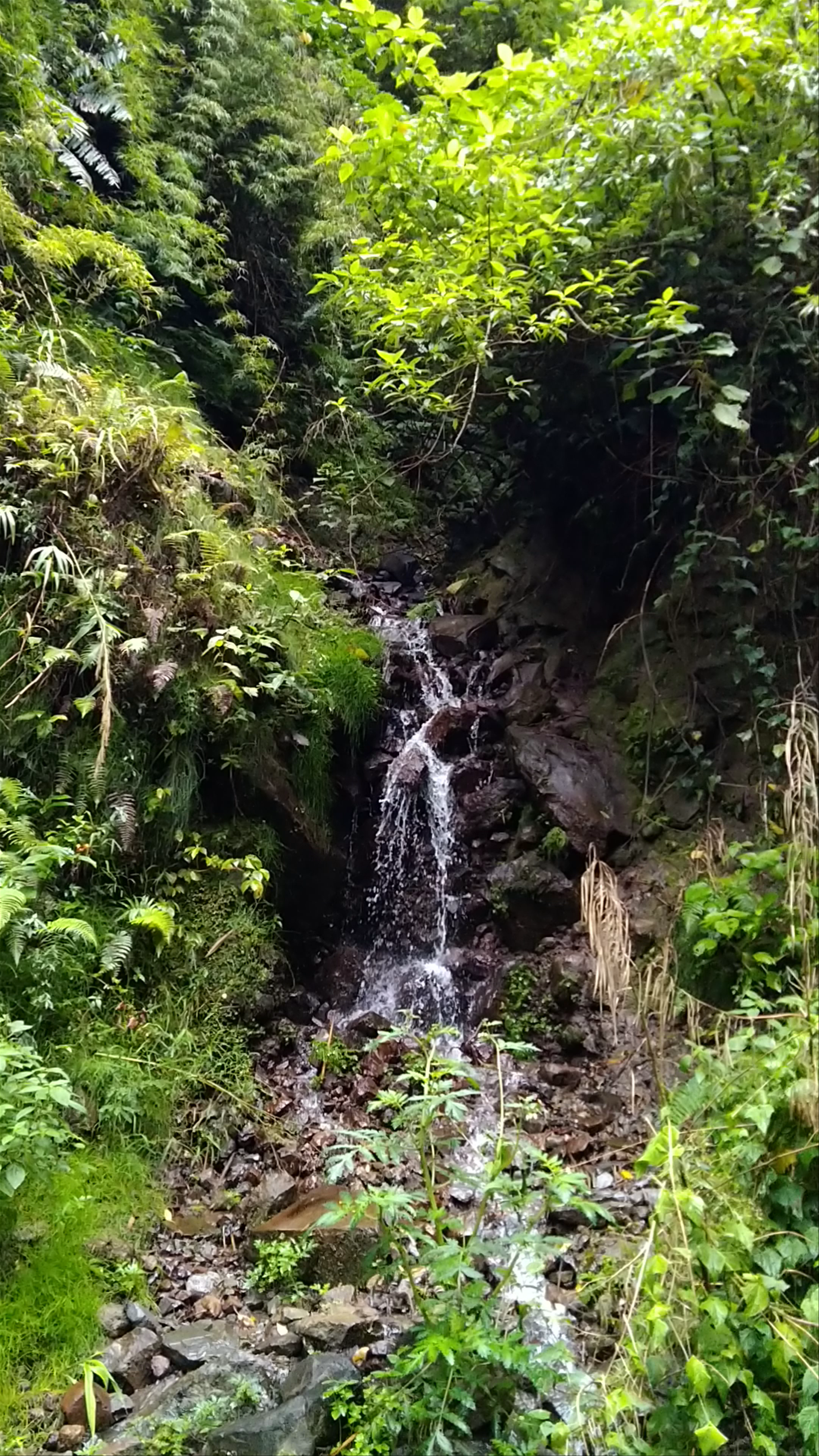 Pipeline Trail (Waterfall)