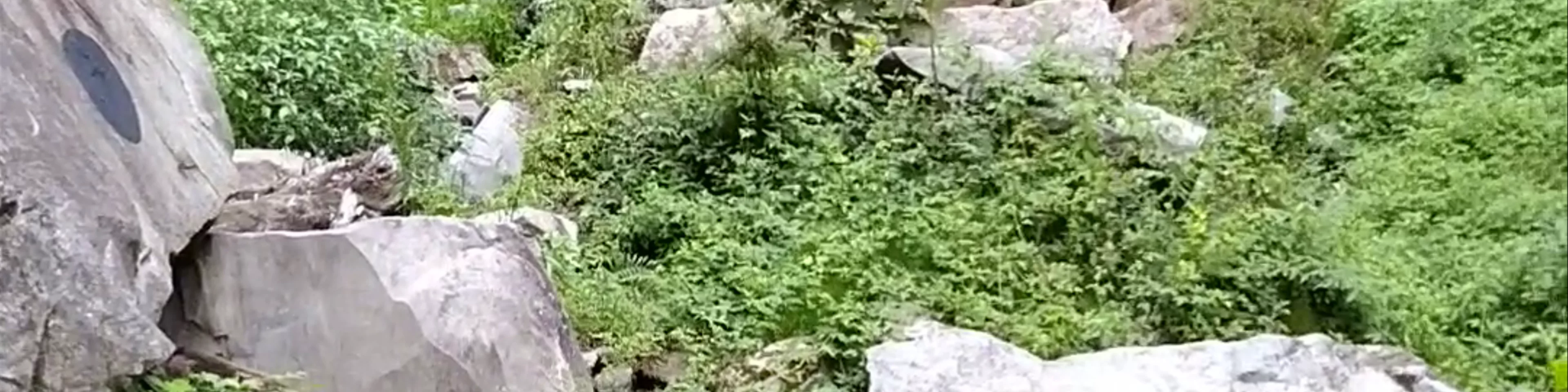 Pipeline Trail (Waterfall)