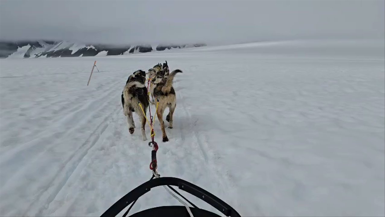 Alaska Helicopter Tours - Tours Near Me - Anchorage, Alaska