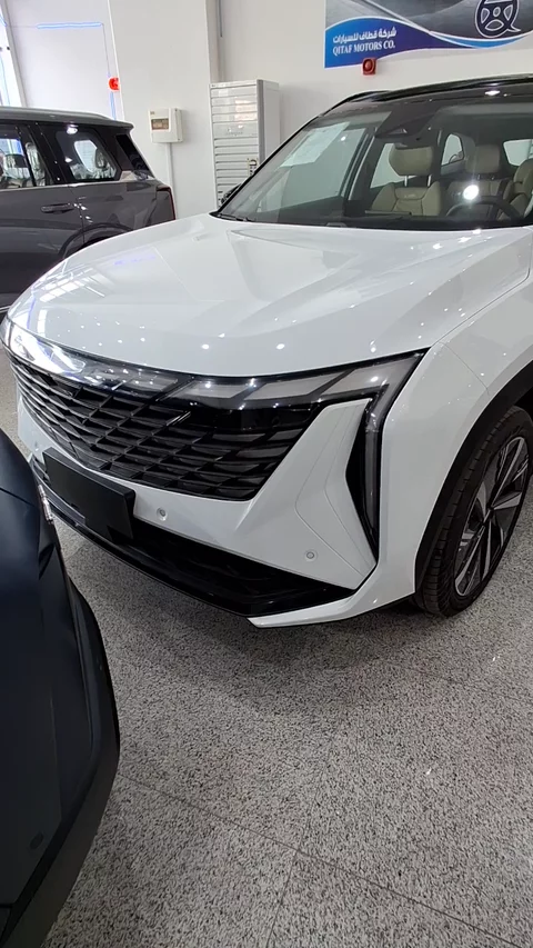 جيلي ستار راي gf plus 2024