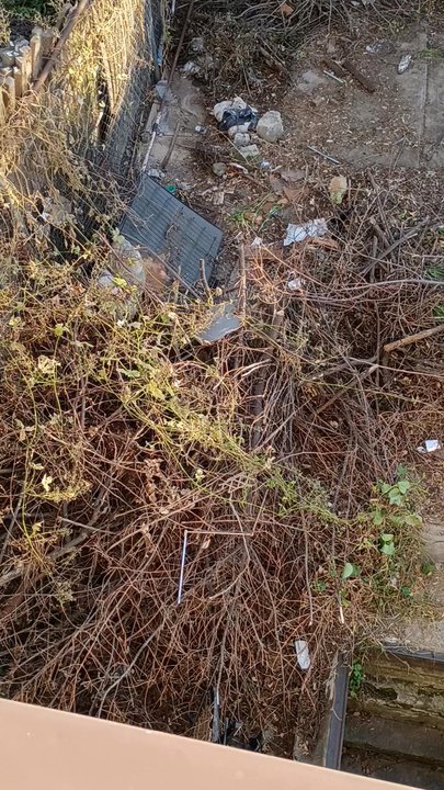 D-Best Carting - Junk Removal & Hauling Near Me - West Hempstead, New York