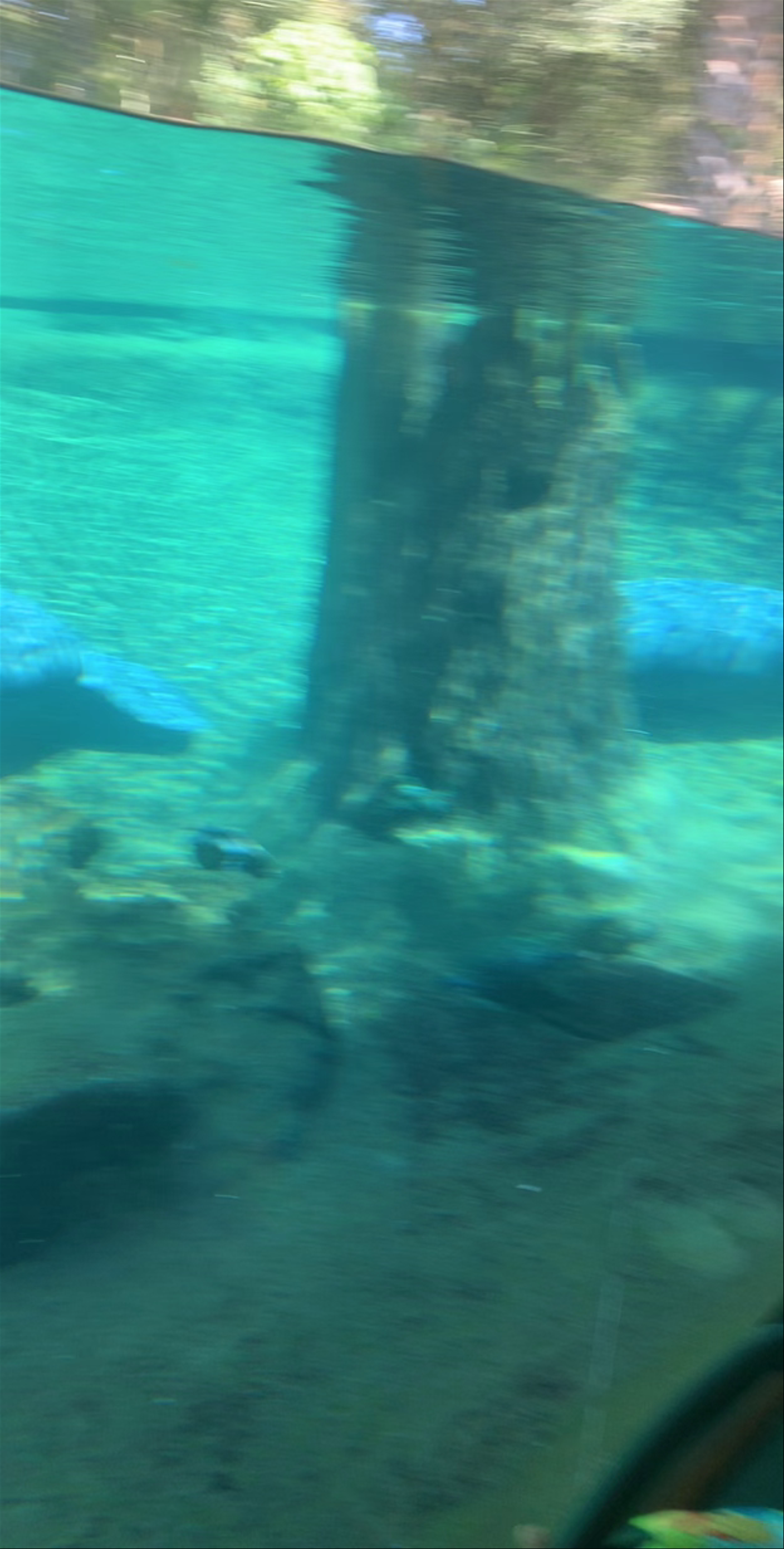 ZooTampa at Lowry Park