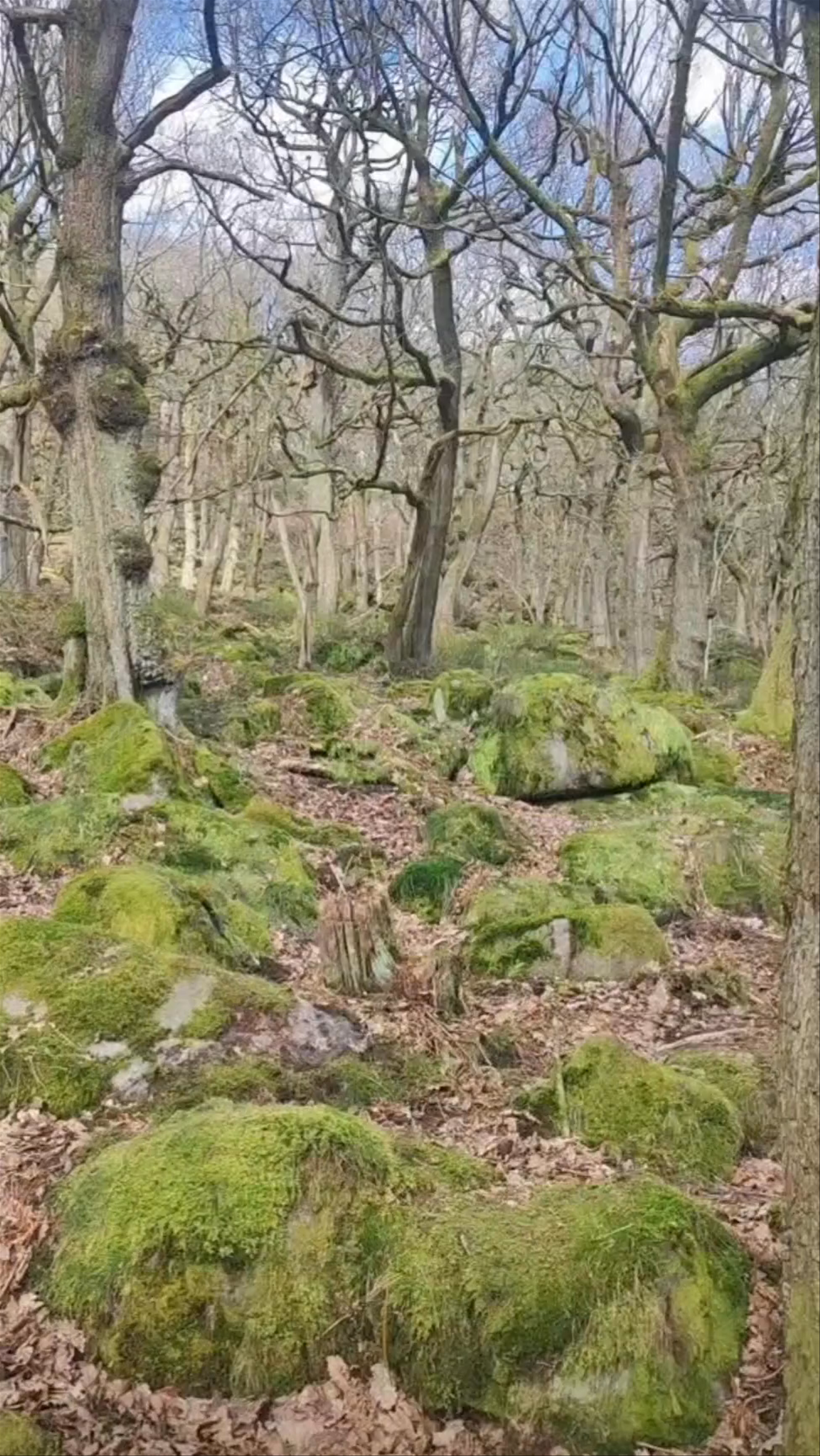 National Trust - Padley Gorge
