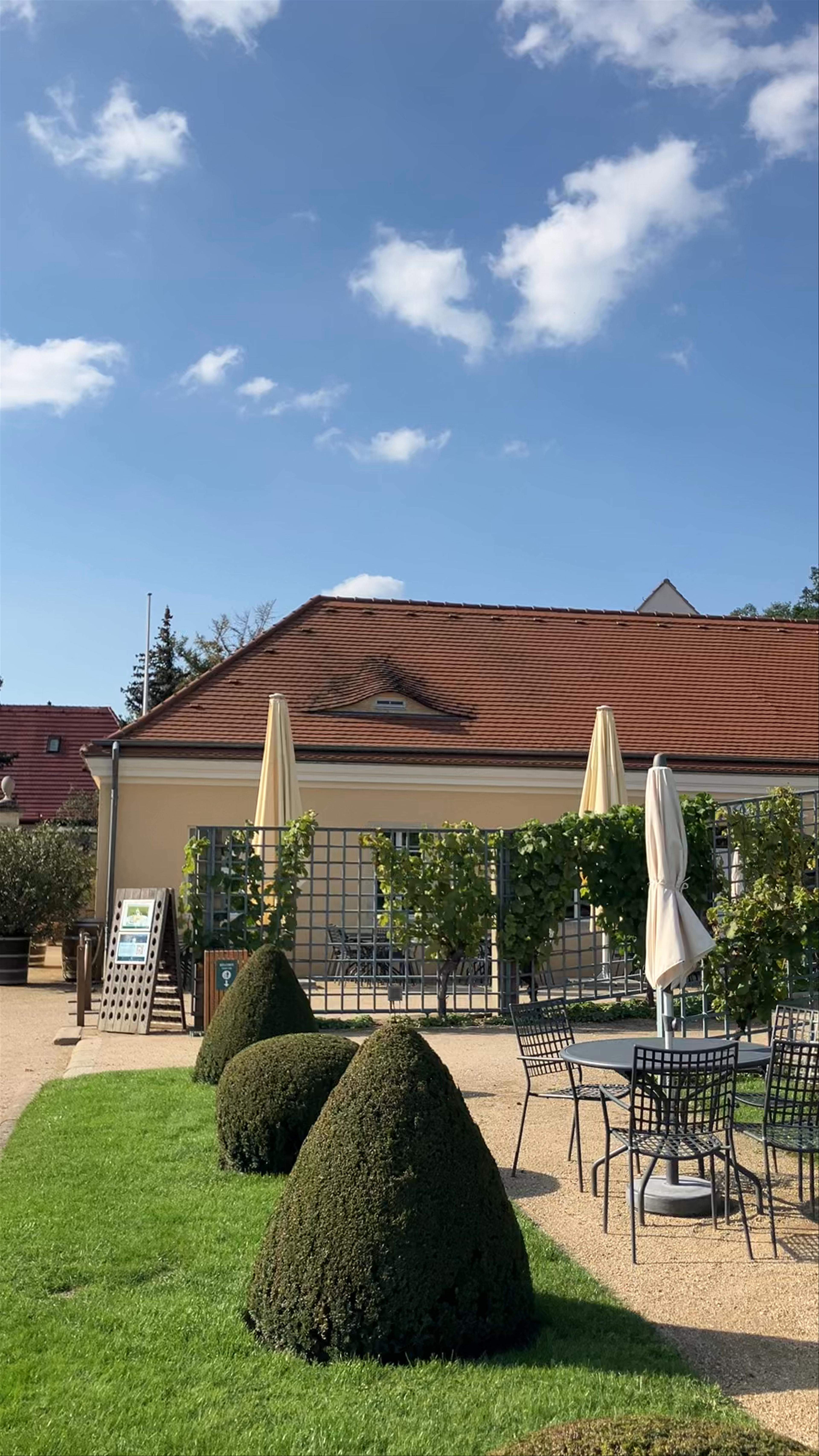 Schloss Wackerbarth: Idyllic Vineyard Escape in Radebeul, Germany