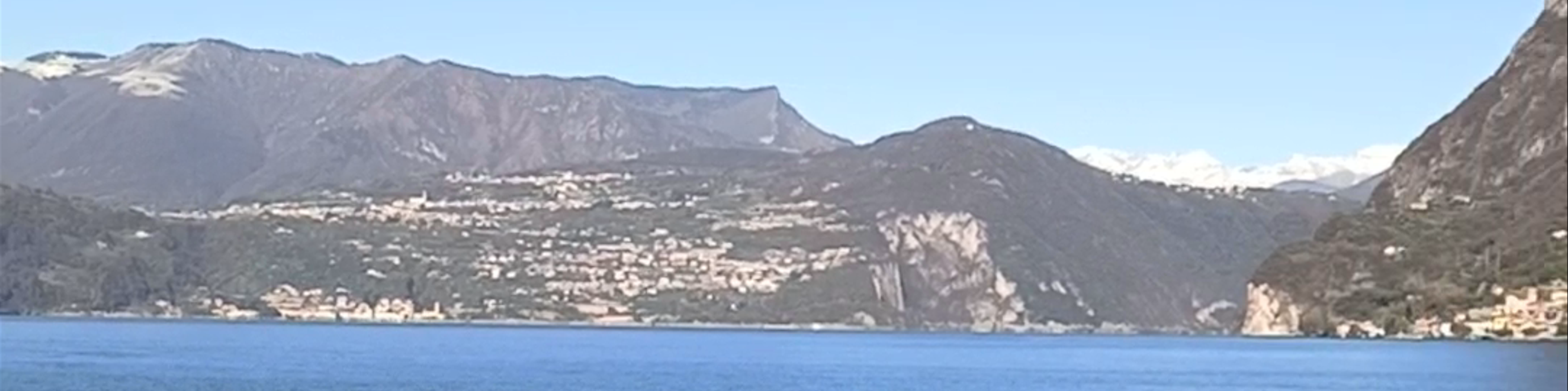 Marone