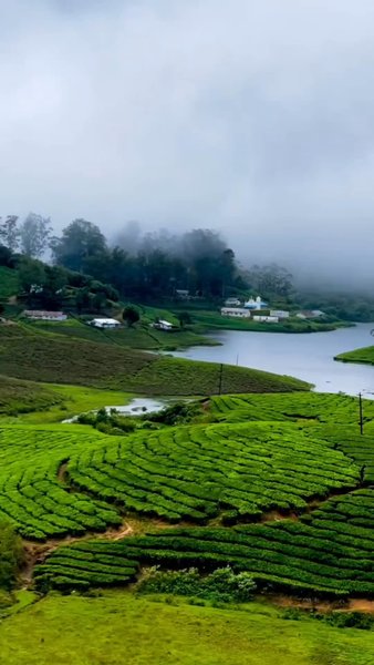 Meghamalai: A Hidden Paradise In The Western Ghats