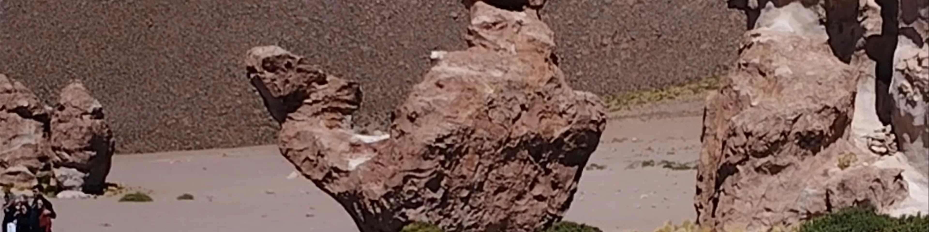 Piedra de Camello