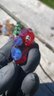 Small image 0