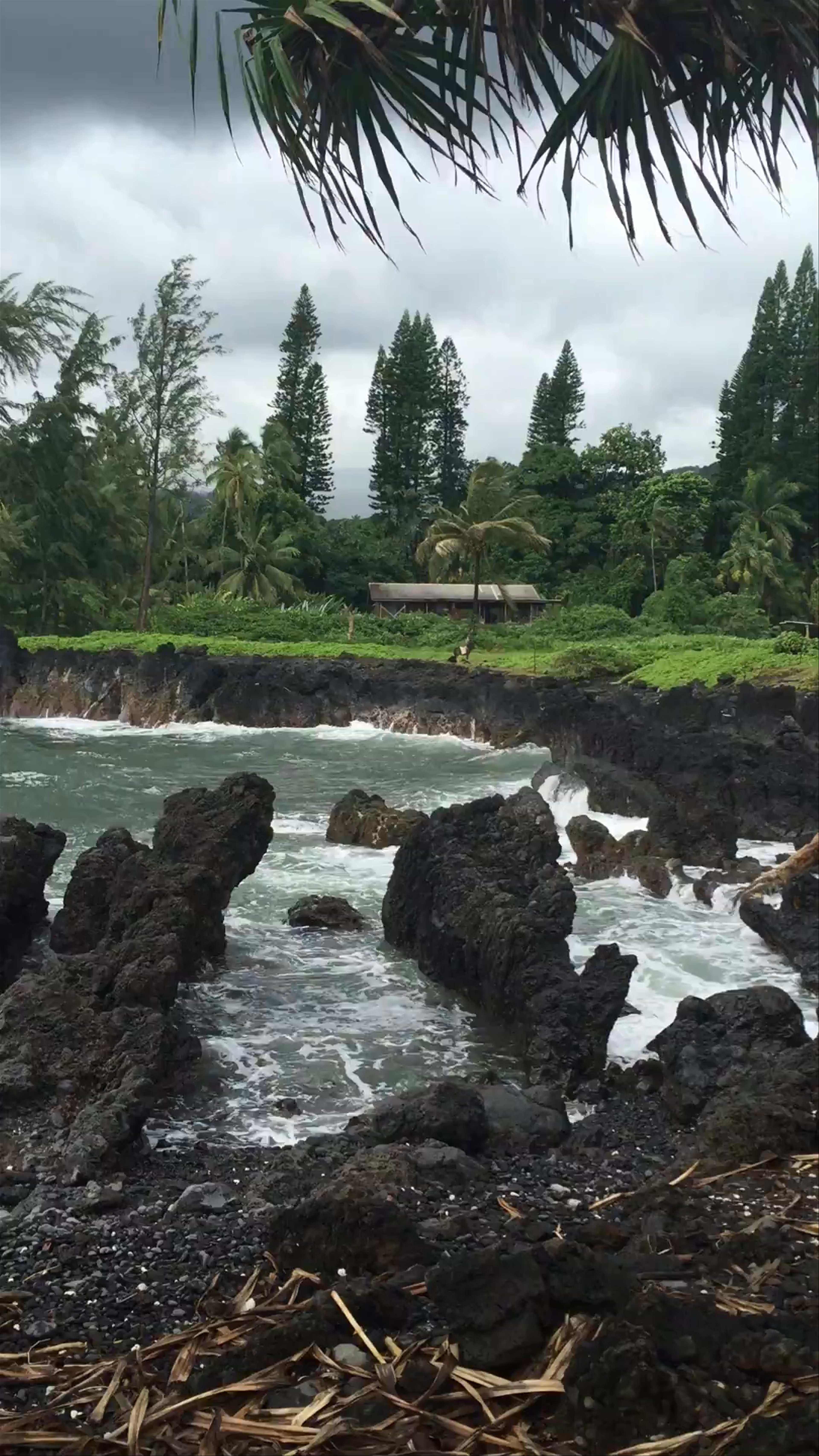 Hana Highway Authentic Hawaiian Food