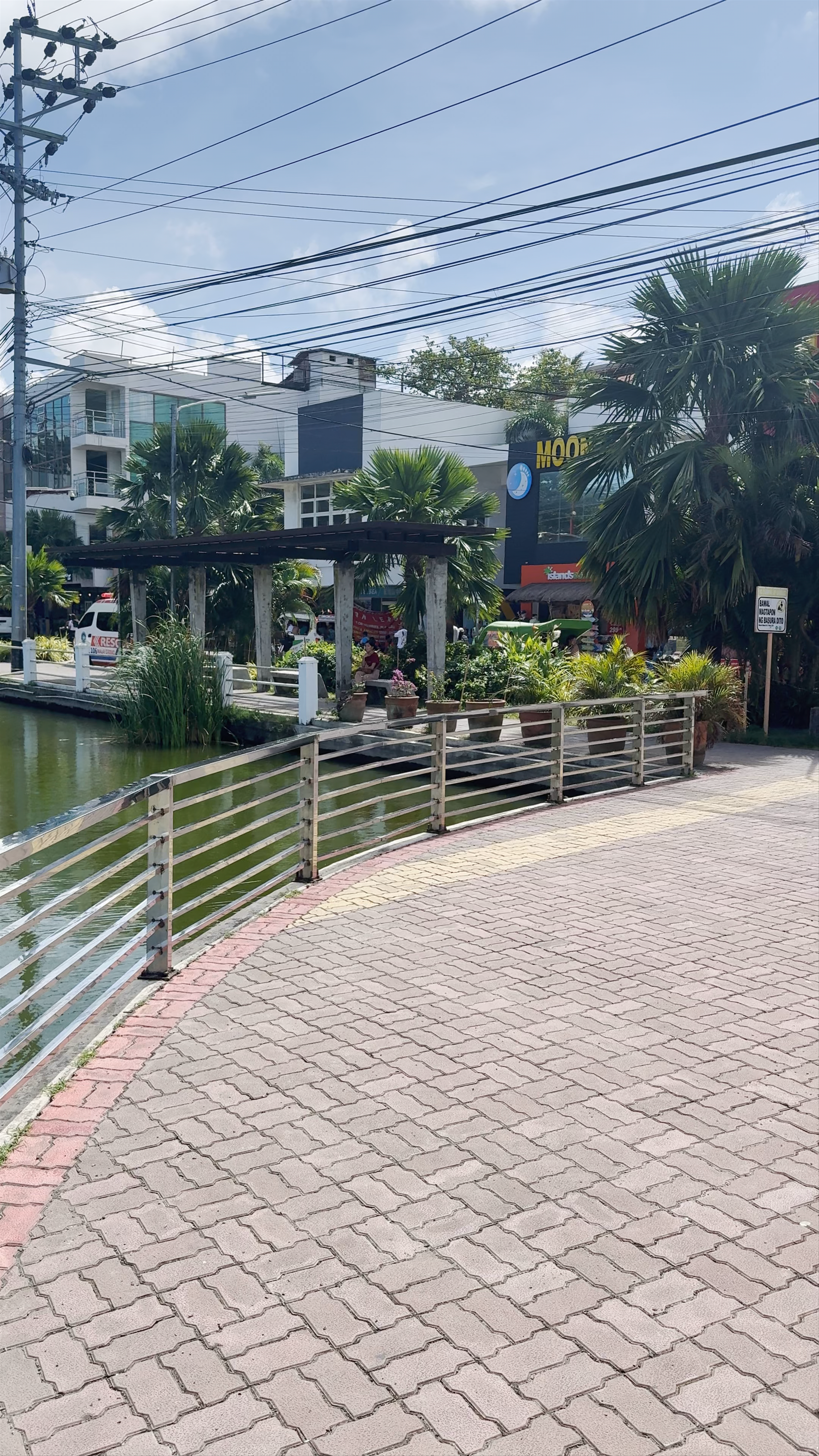Balabag Lake: Tranquil Urban Oasis in Malay, Aklan