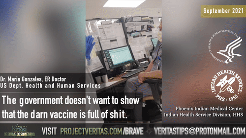 Video Thumbnail Loop