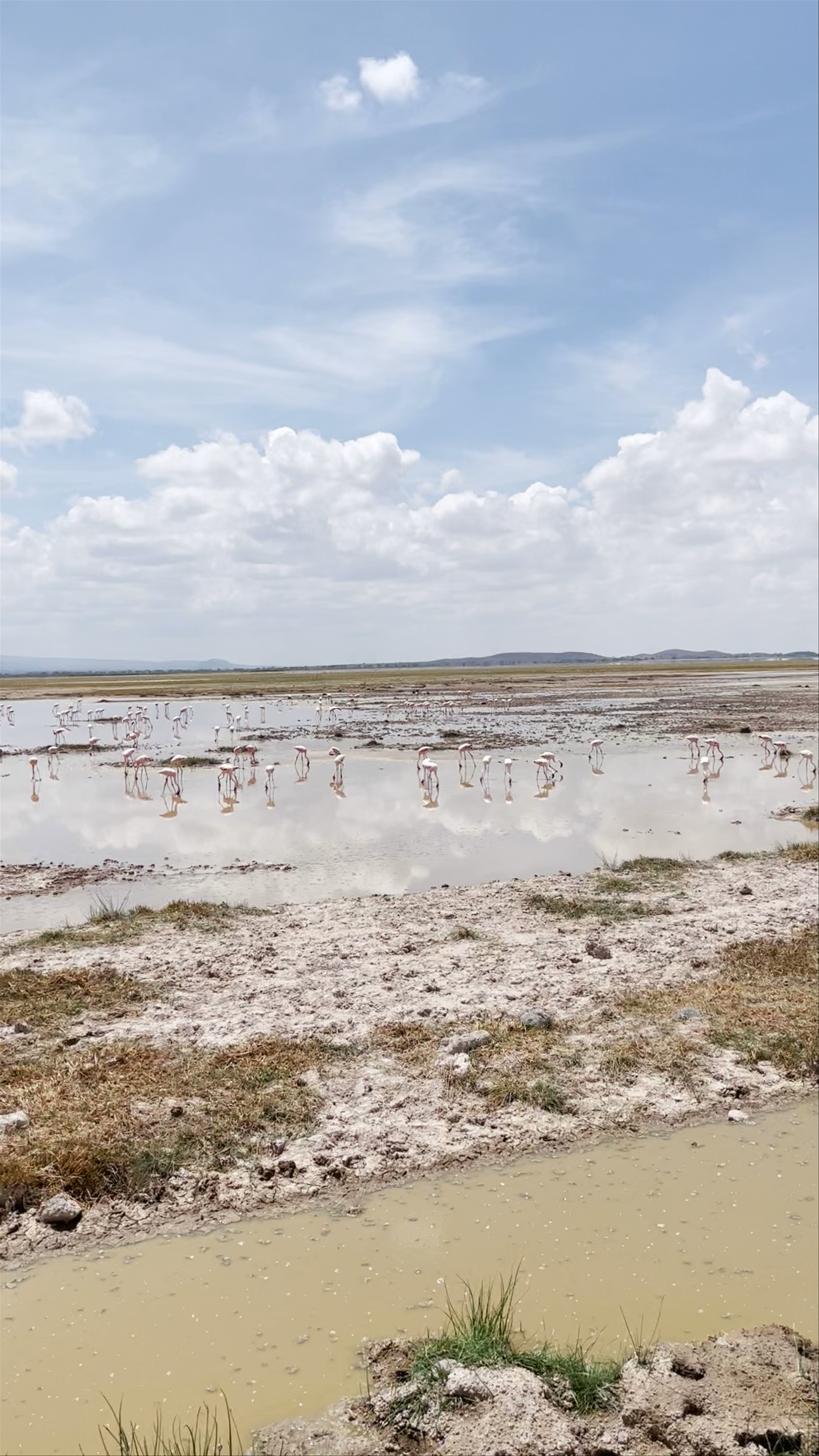 Lake Amboseli