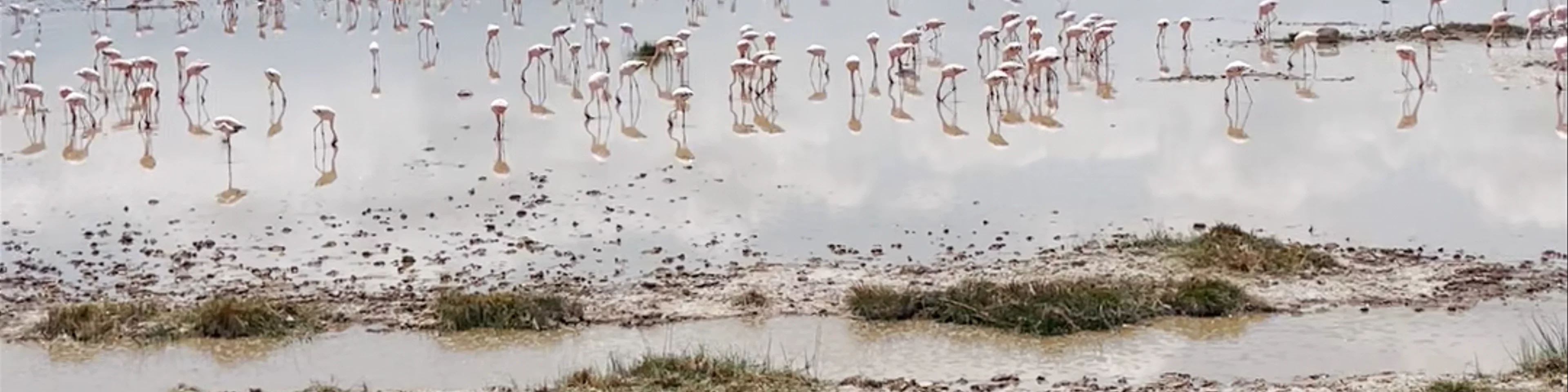 Lake Amboseli