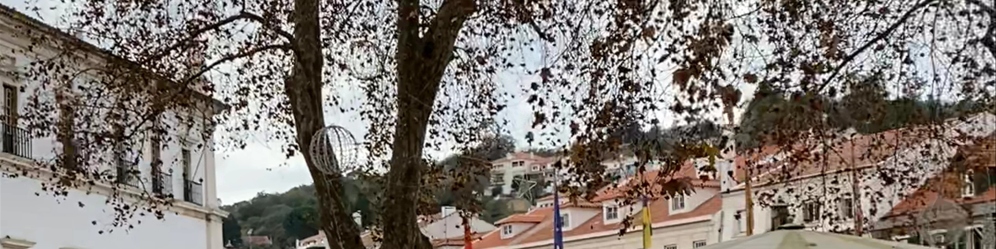 Mosteiro de Alcobaça